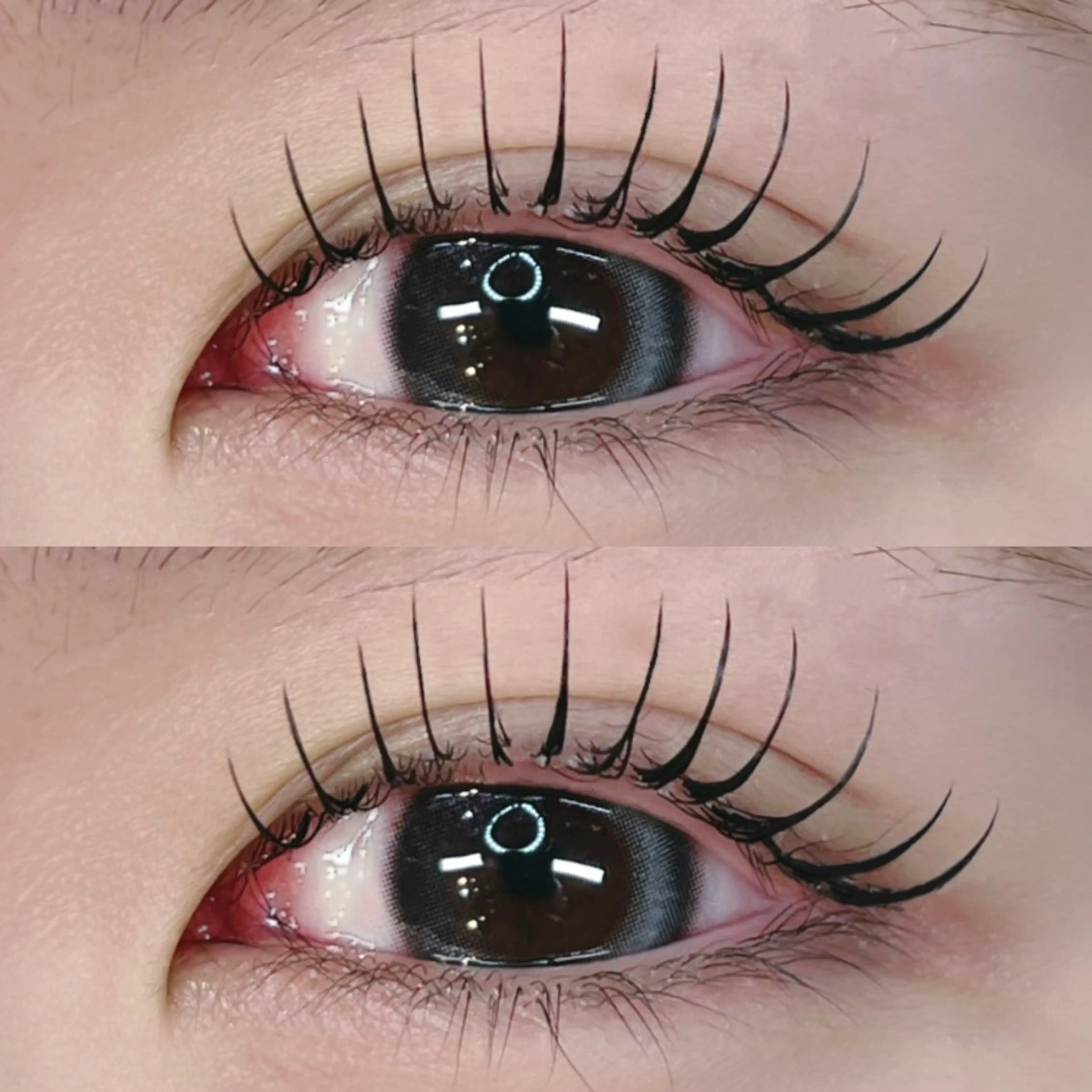 アンドヘルシー×LED120本（60束）の写真