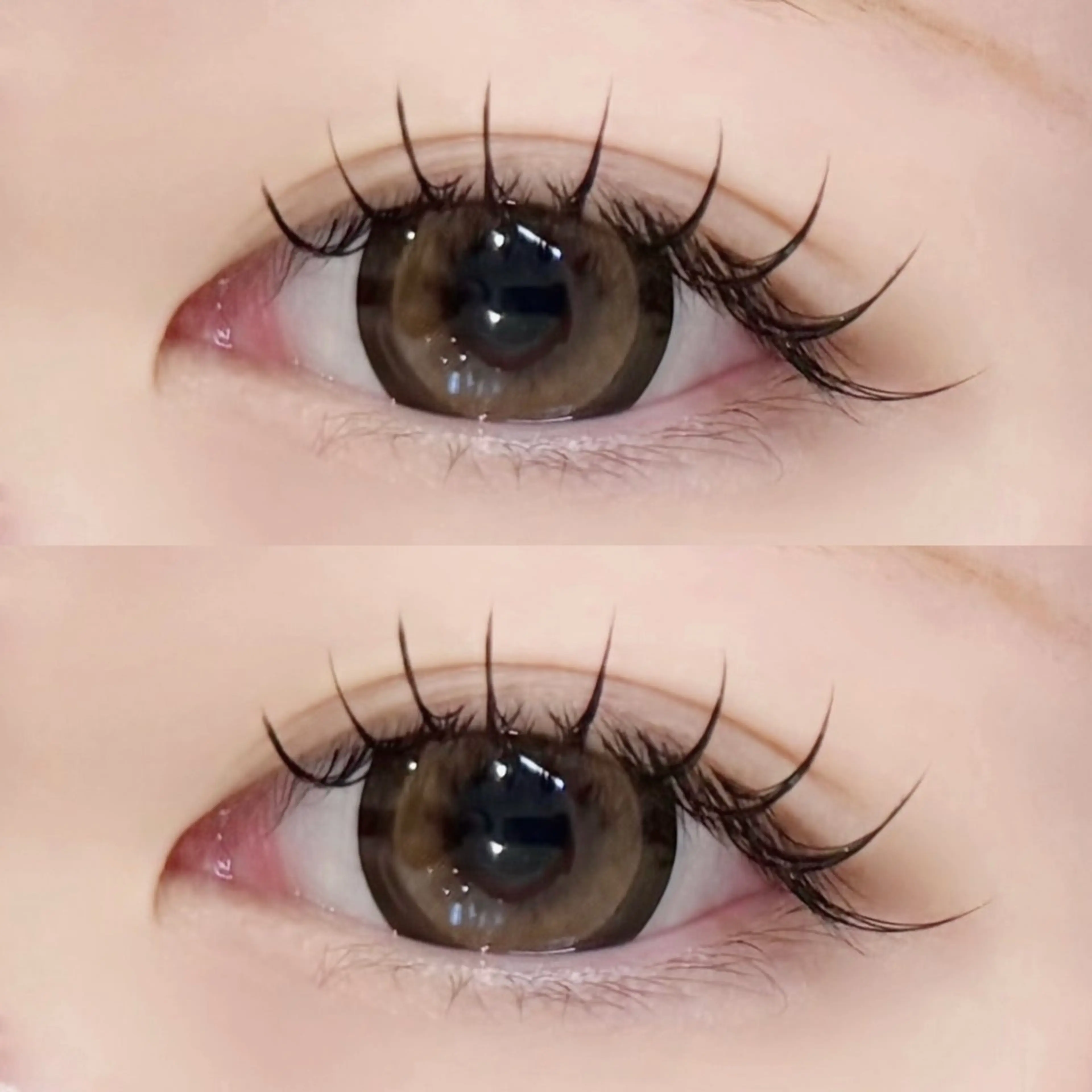 フラットラッシュエクステ100本🎀の写真
