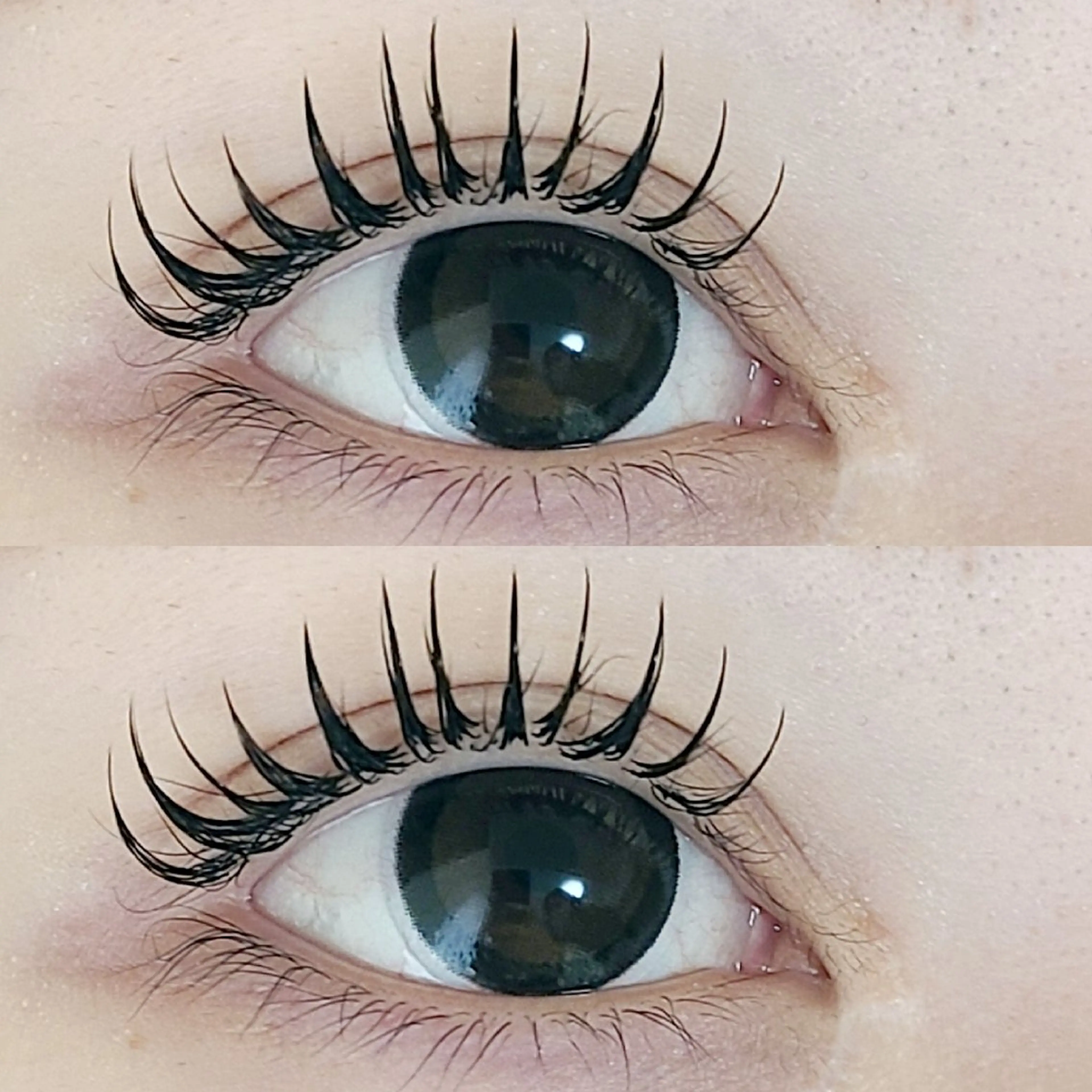 マツエク・マツパ 束感まつ毛 フラットラッシュ 韓国風マツエク マツエク セレビアイ/ ISHIIのマツエク・マツパデザイン