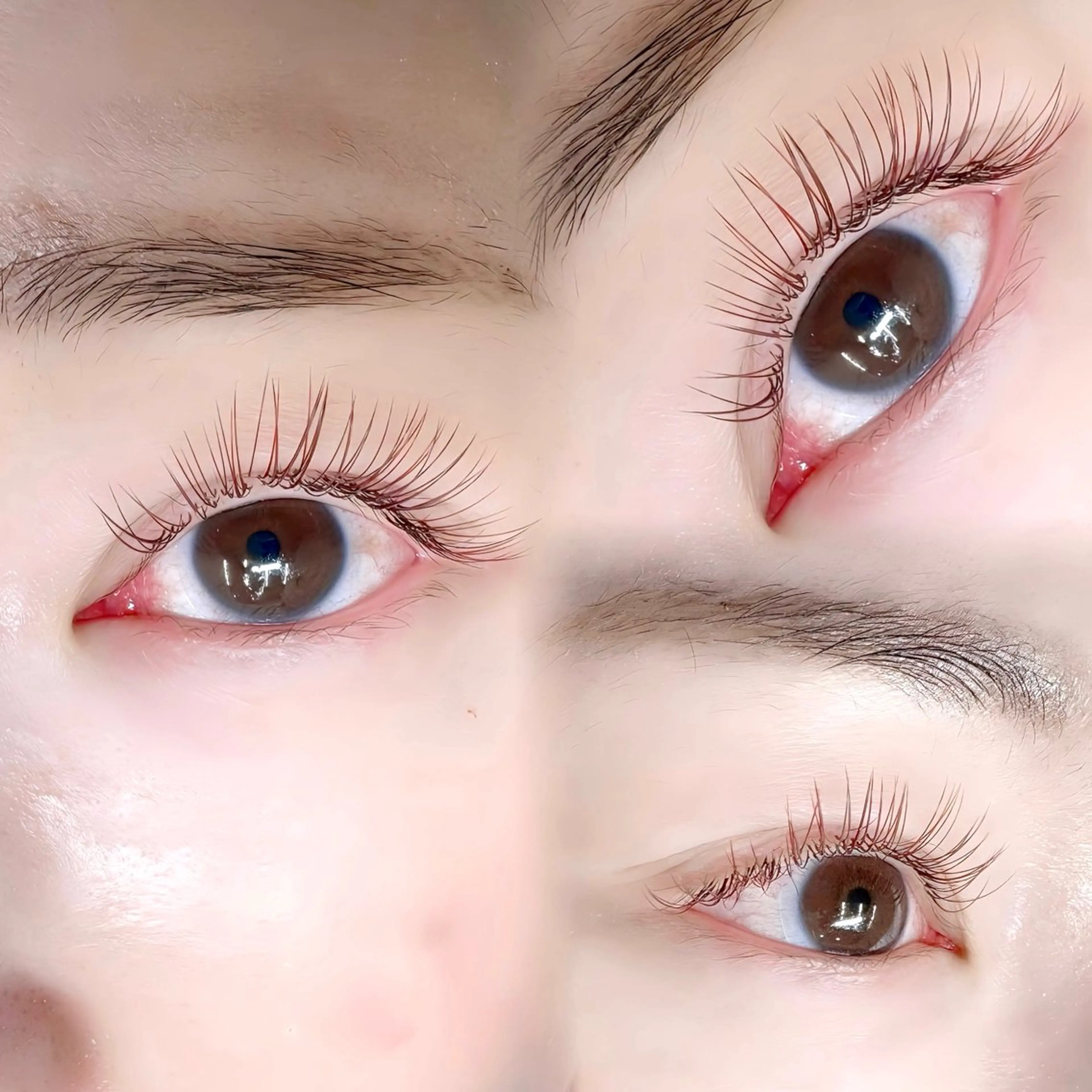 マツエク・マツパ カラーマツエク フラットラッシュ マツエク AYAKA🌿 池袋Luminis店のマツエク・マツパデザイン