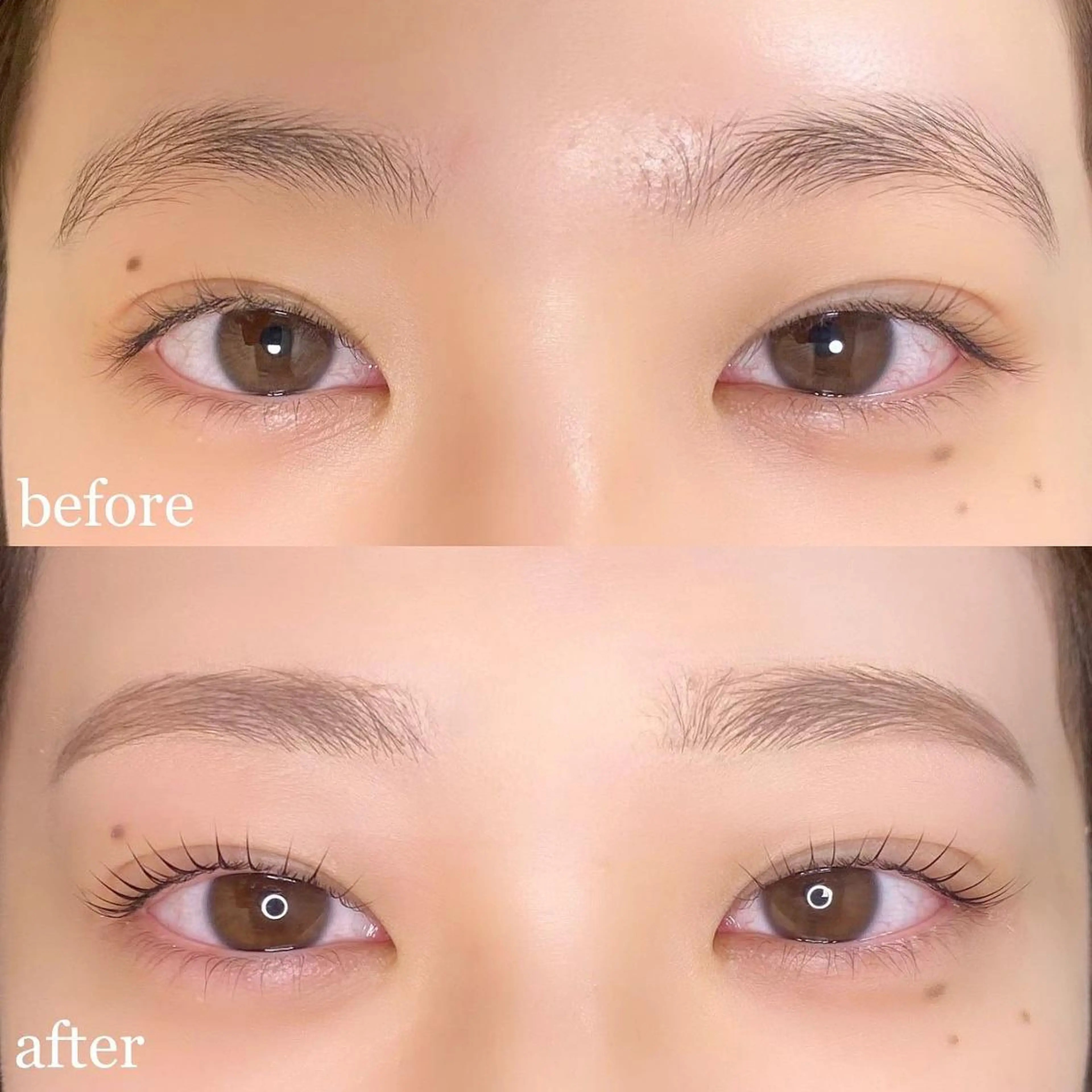 マツエク・マツパ フラットラッシュ パリジェンヌラッシュリフト まつげパーマ ボリュームラッシュ KURUMI🦋 まつエクまつパ美眉のマツエク・マツパデザイン