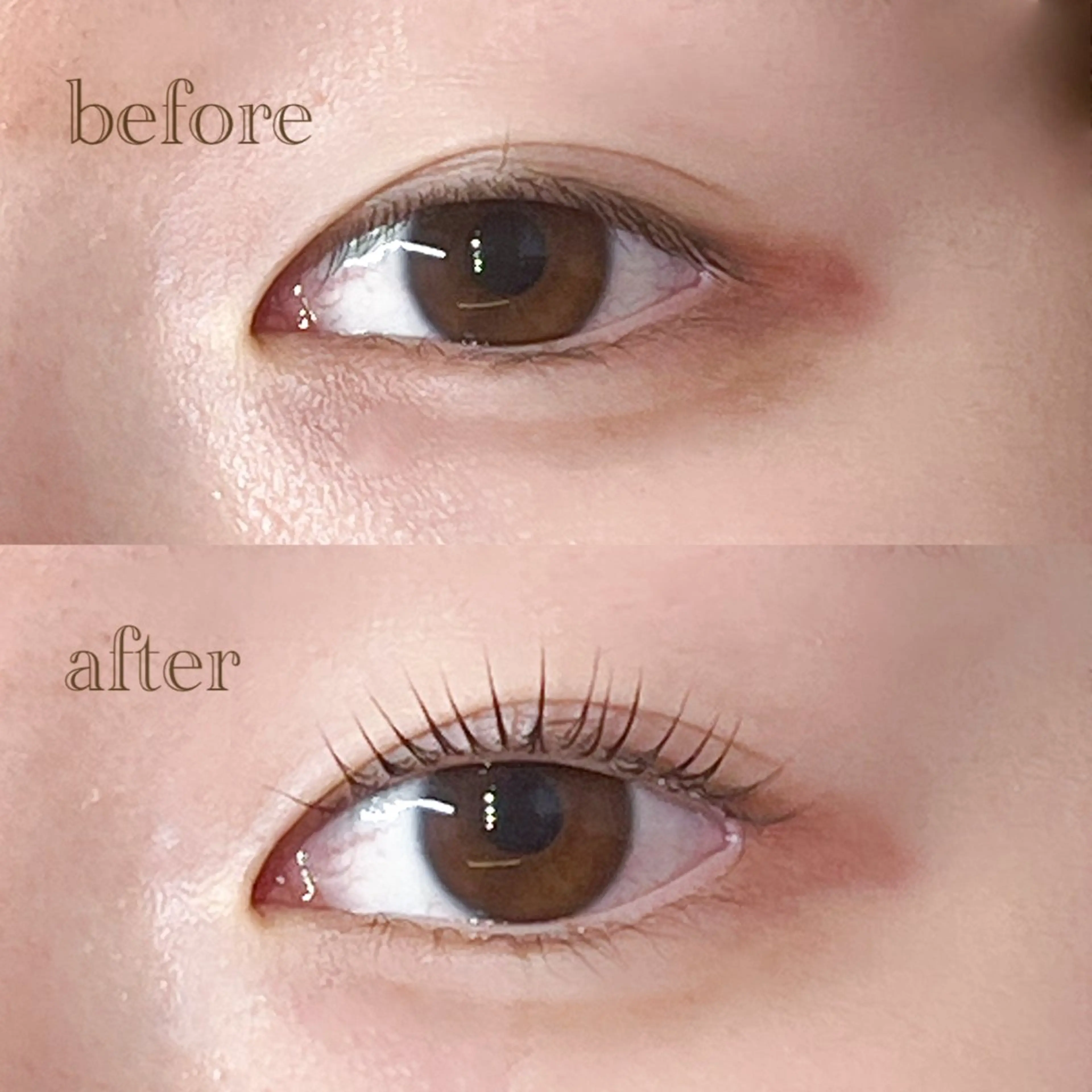 マツエク・マツパ 仙台/束感まつげ💐 🎀Mizukiの眉毛・アイブロウイメージ