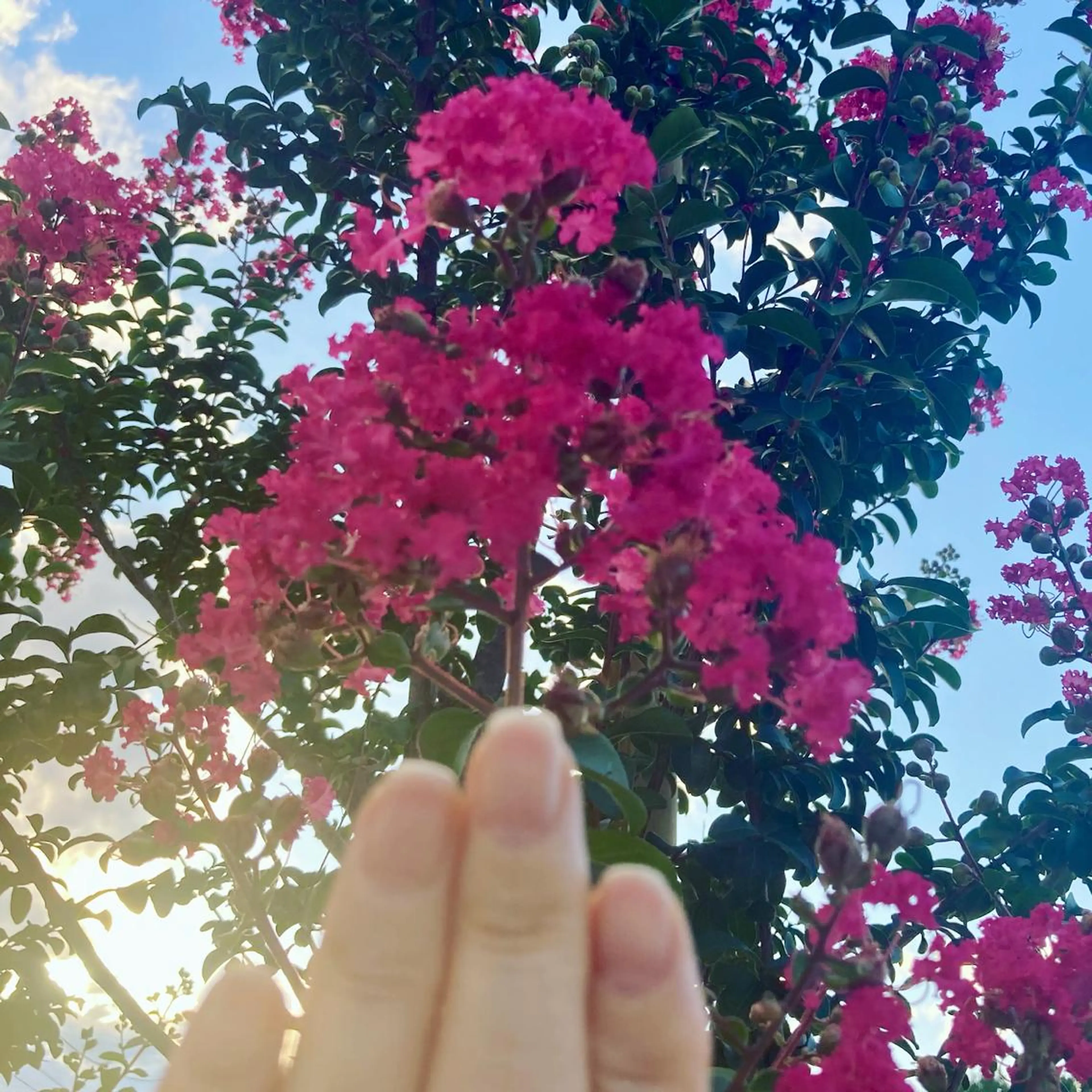 ネイル ケアリスト🍀 マリユキのネイルデザイン