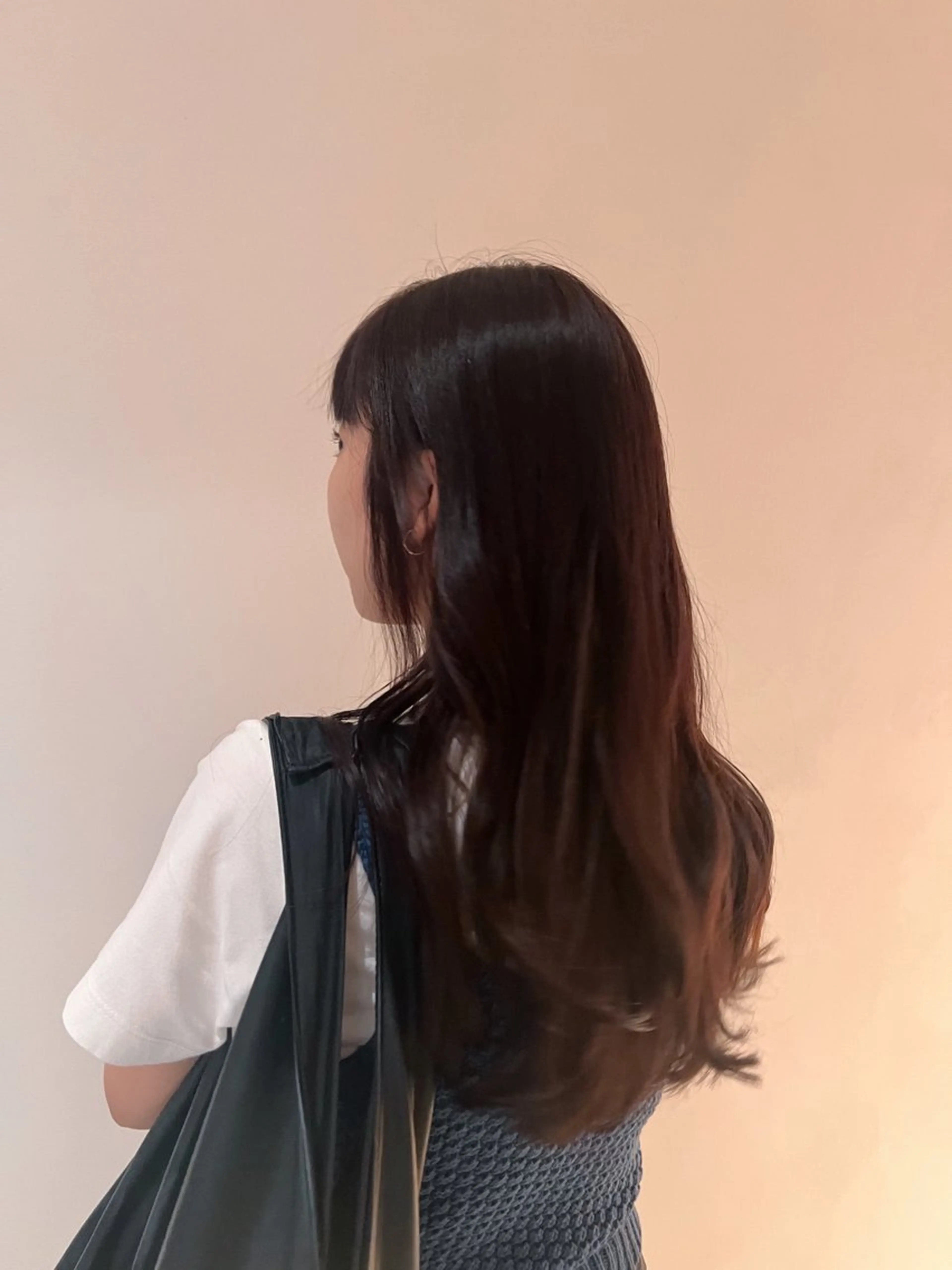 ロング カラー ブラウンカラー 白石 恵美のヘアスタイル