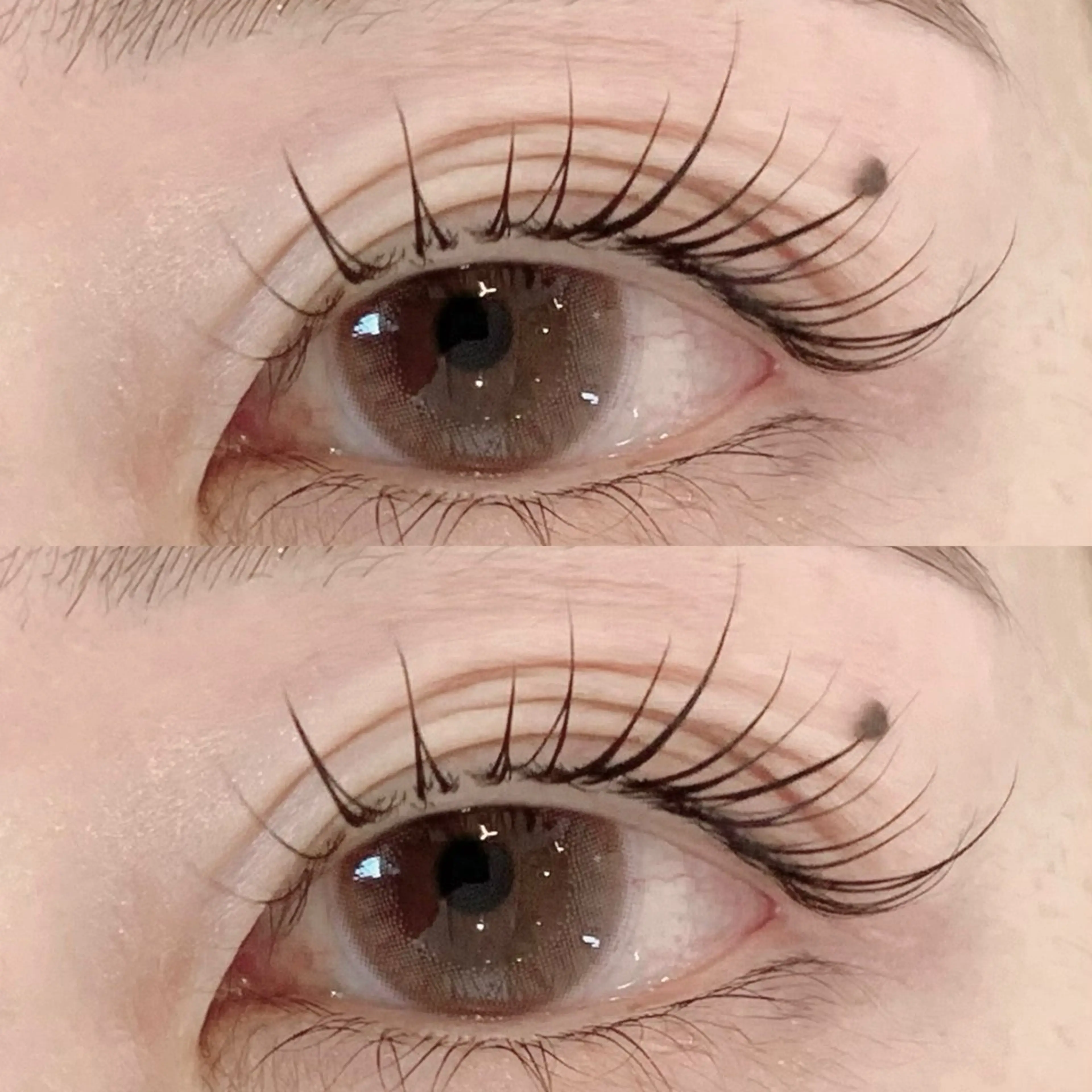 マツエク・マツパ M🐰 上本町/谷九のマツエク・マツパデザイン