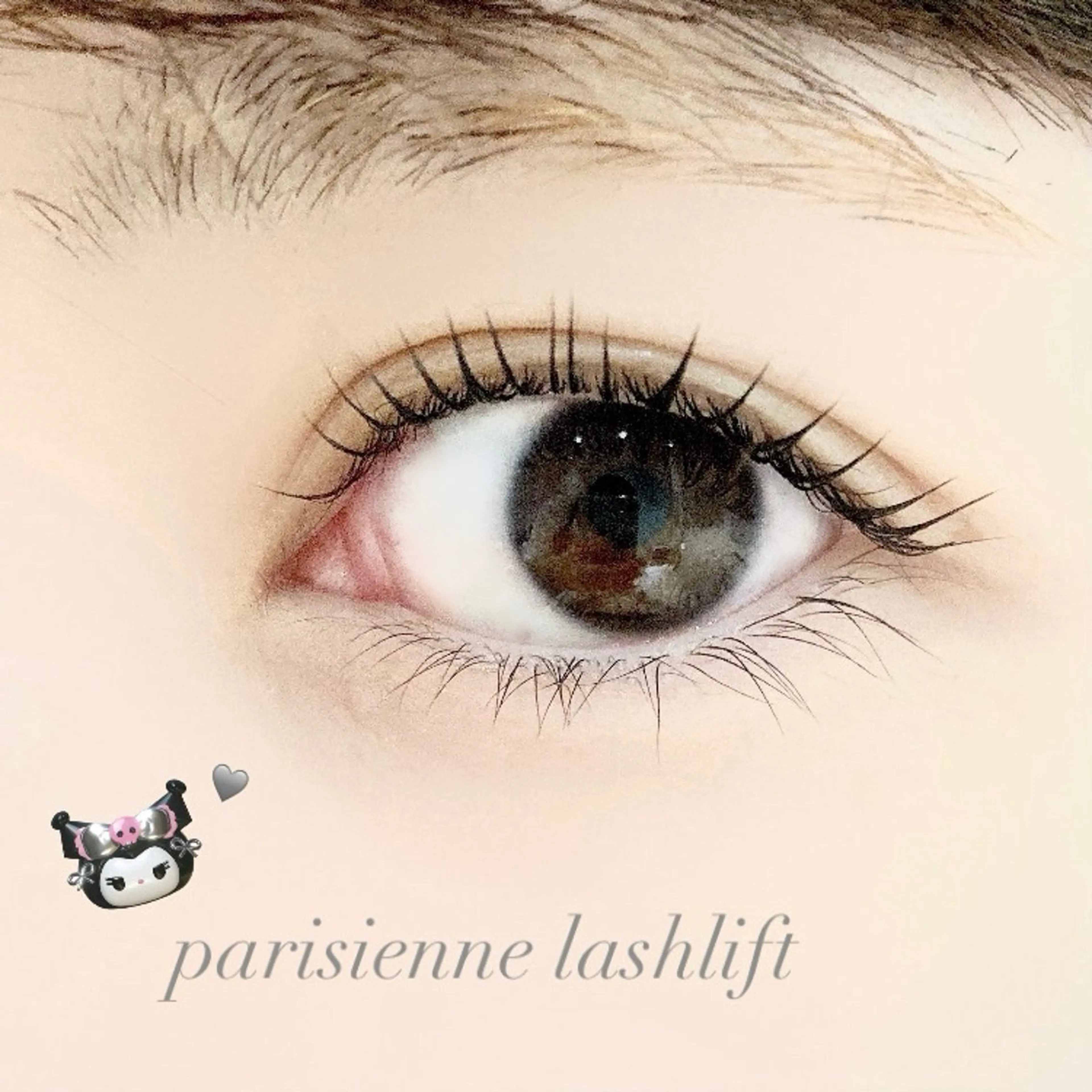 ãããã¢åŠå²ð©ð»âðâ¡ãããªãžã§ã³ãã©ãã·ã¥ãªããðªœðã®åç