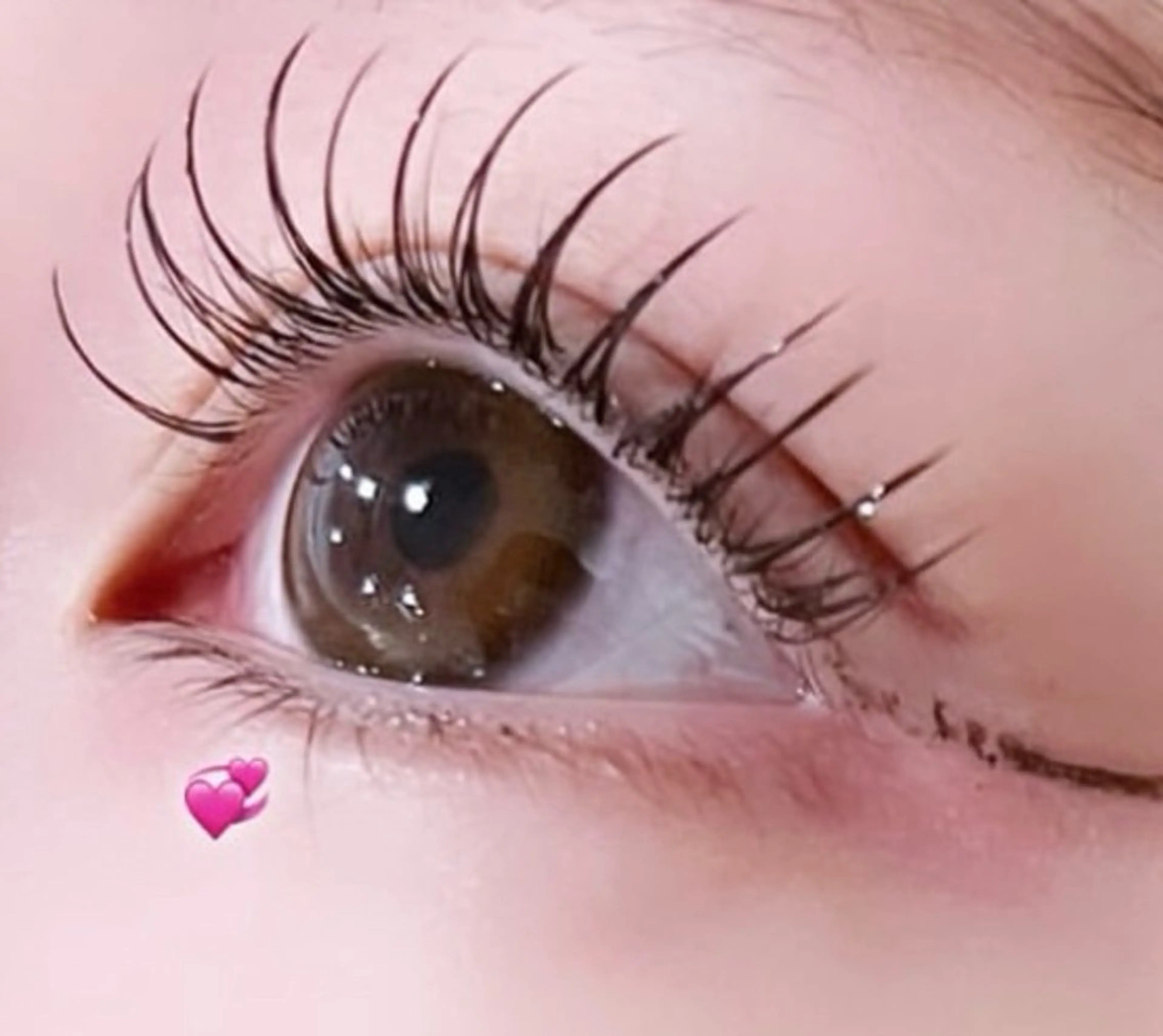 まつ毛パーマ🎀(無料コーティング仕上げ)の写真