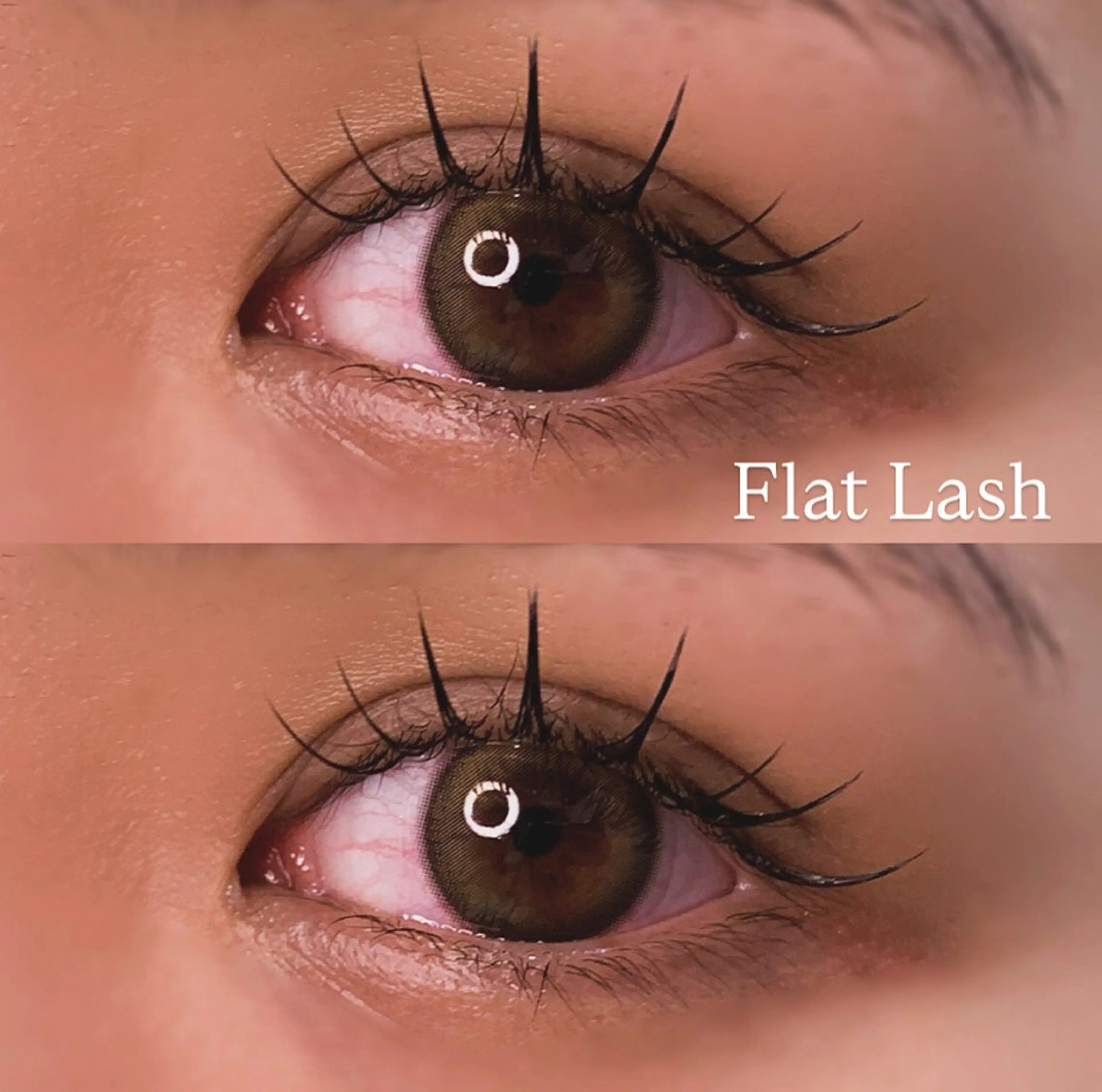 マツエク・マツパ Cカール フラットラッシュ Jカール マツエク Ayumi.pro 🍆N《4階》のマツエク・マツパデザイン