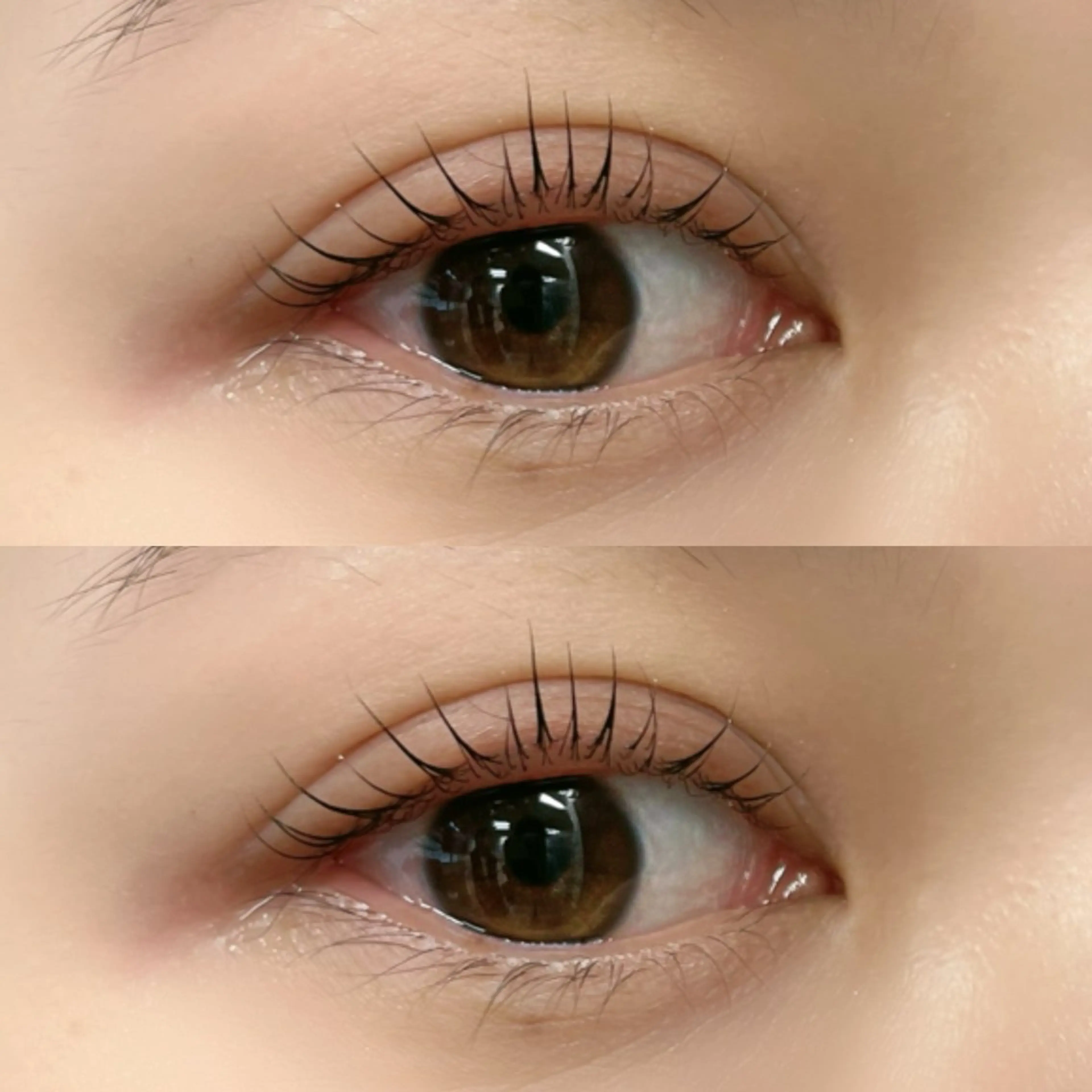 マツエク・マツパ リフュージュ　隠れ家所属・リフュージュ🌷 カホのマツエク・マツパデザイン