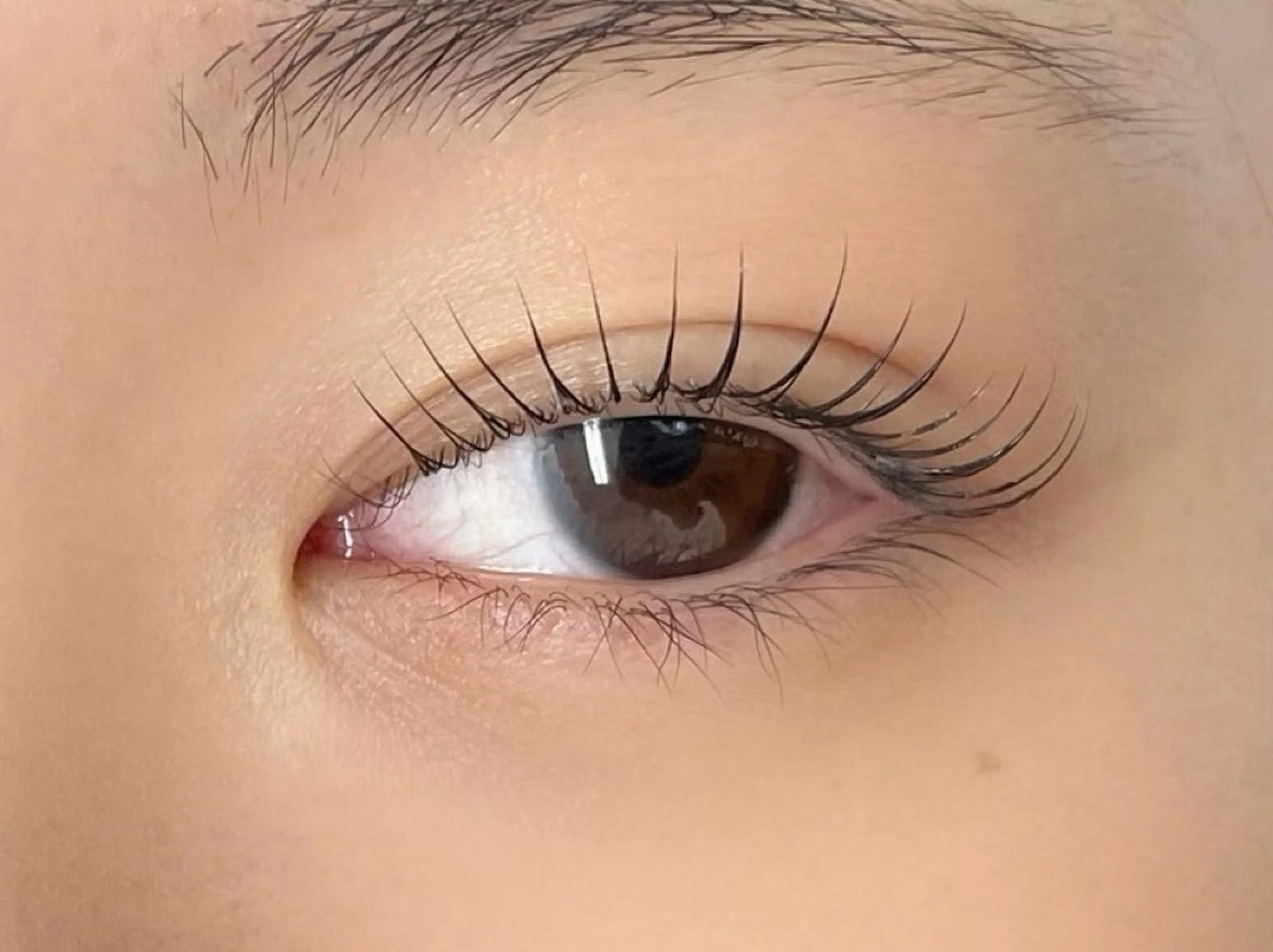 マツエク・マツパ 白石 茉詩 《MACOTO》🩶の眉毛・アイブロウイメージ