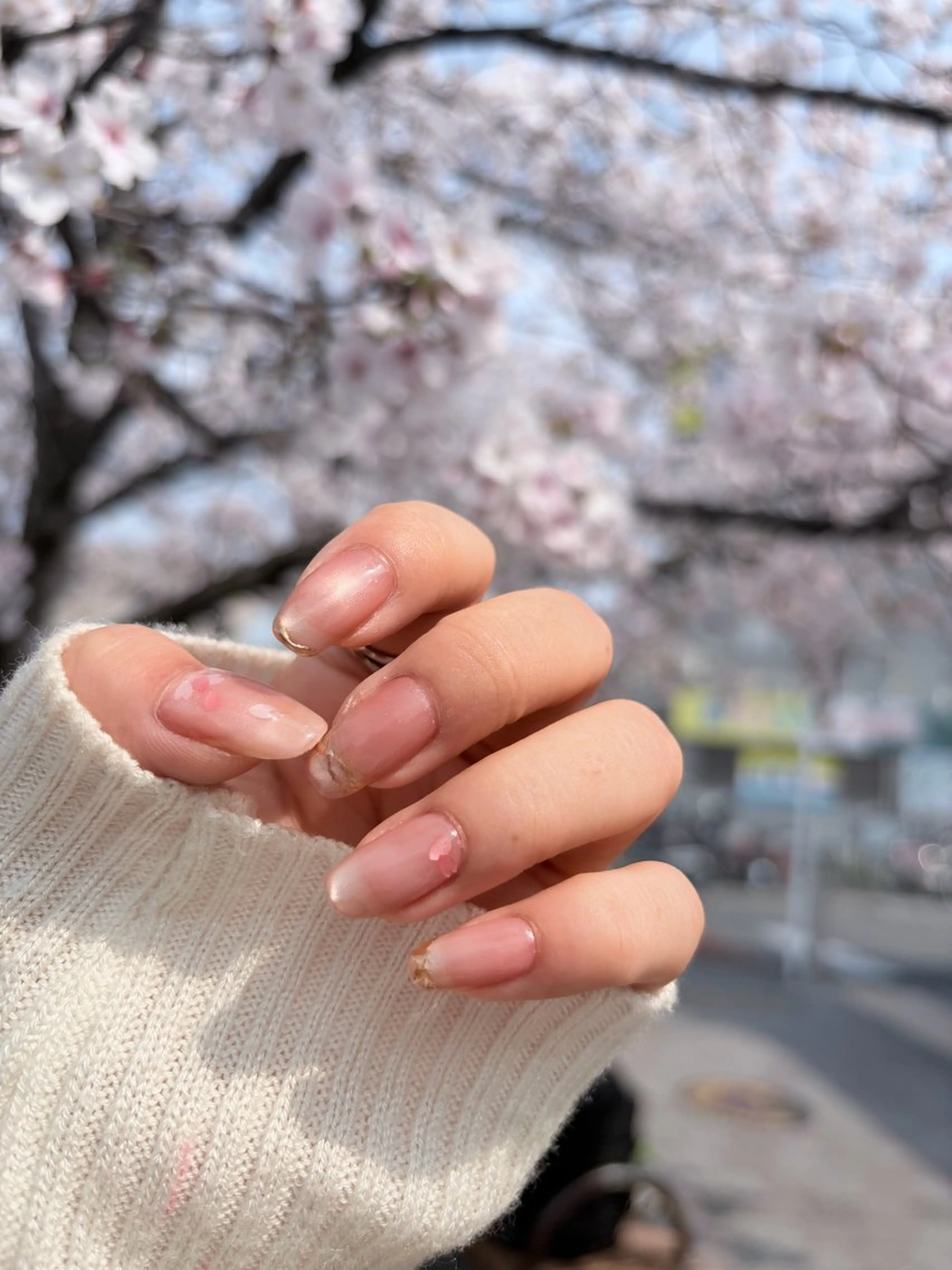 ネイル 桜ネイル ホログラムネイル マグネットネイル 春ネイル m.slash マドカのネイルデザイン