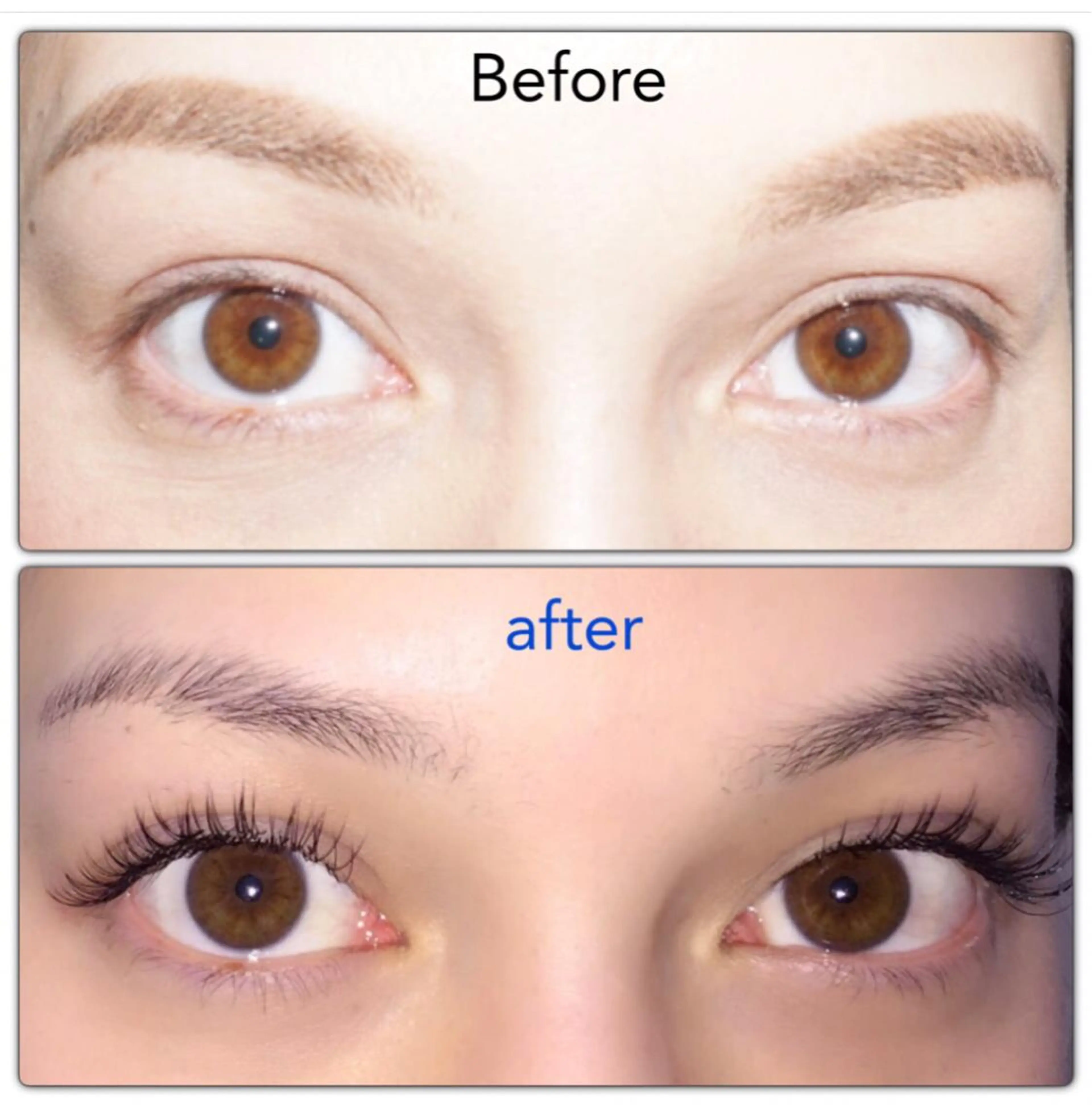 マツエク・マツパ 🏅国際大会受賞 Chouchouのマツエク・マツパデザイン