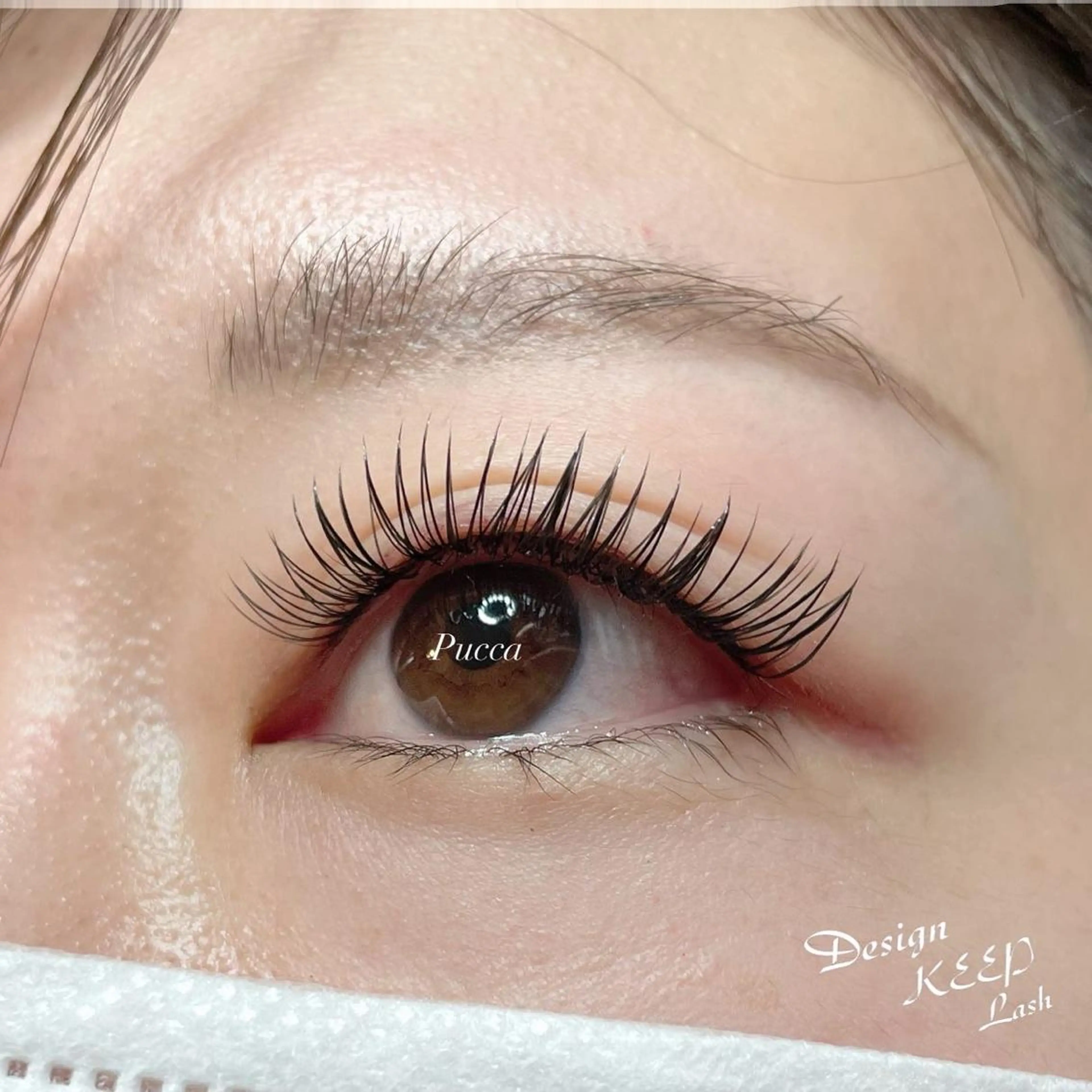 マツエク・マツパ マツエク Pucca Fukuokaのマツエク・マツパデザイン