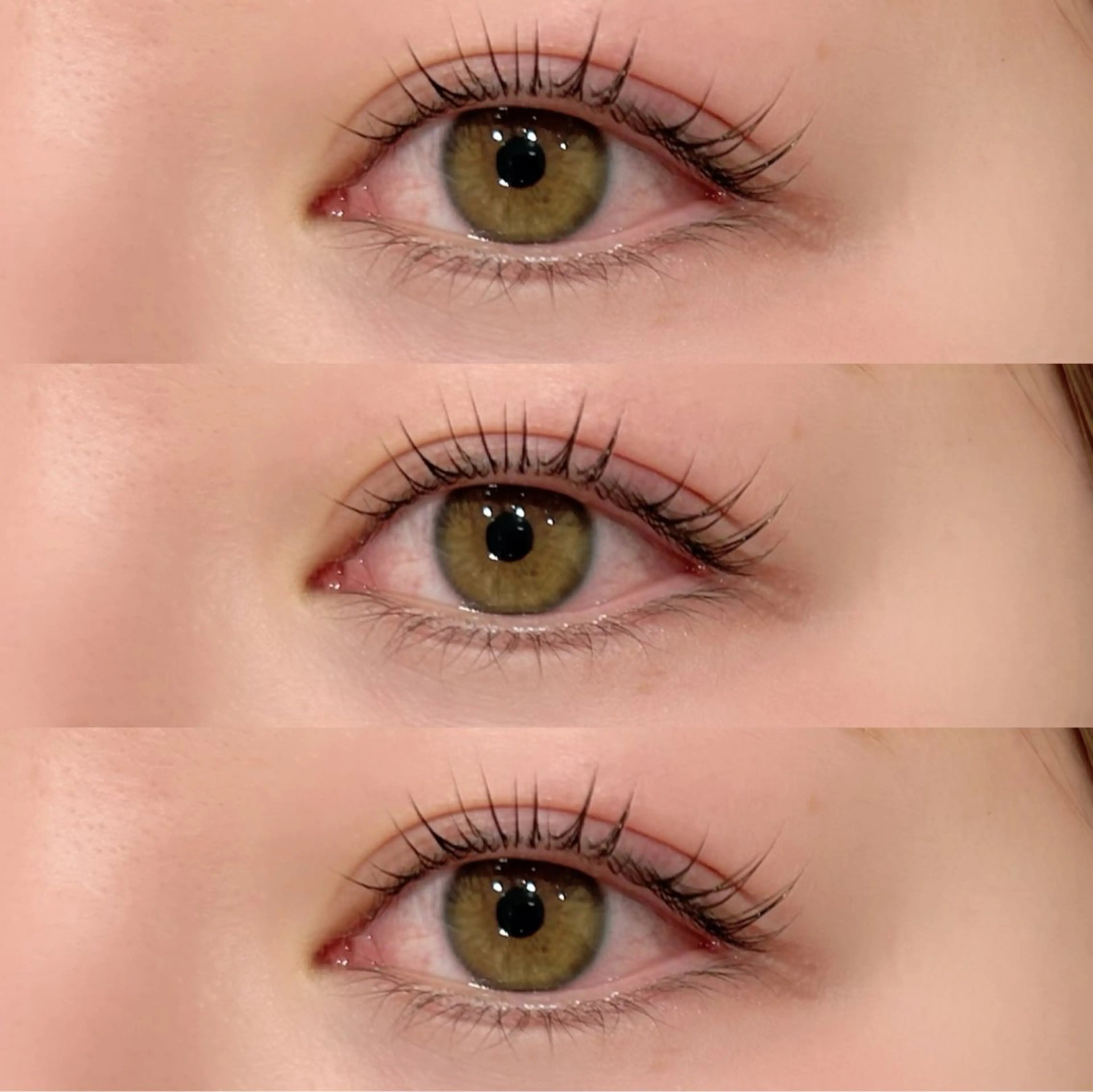 【1月限定】まつげパーマ➕コーティング込🤍の写真