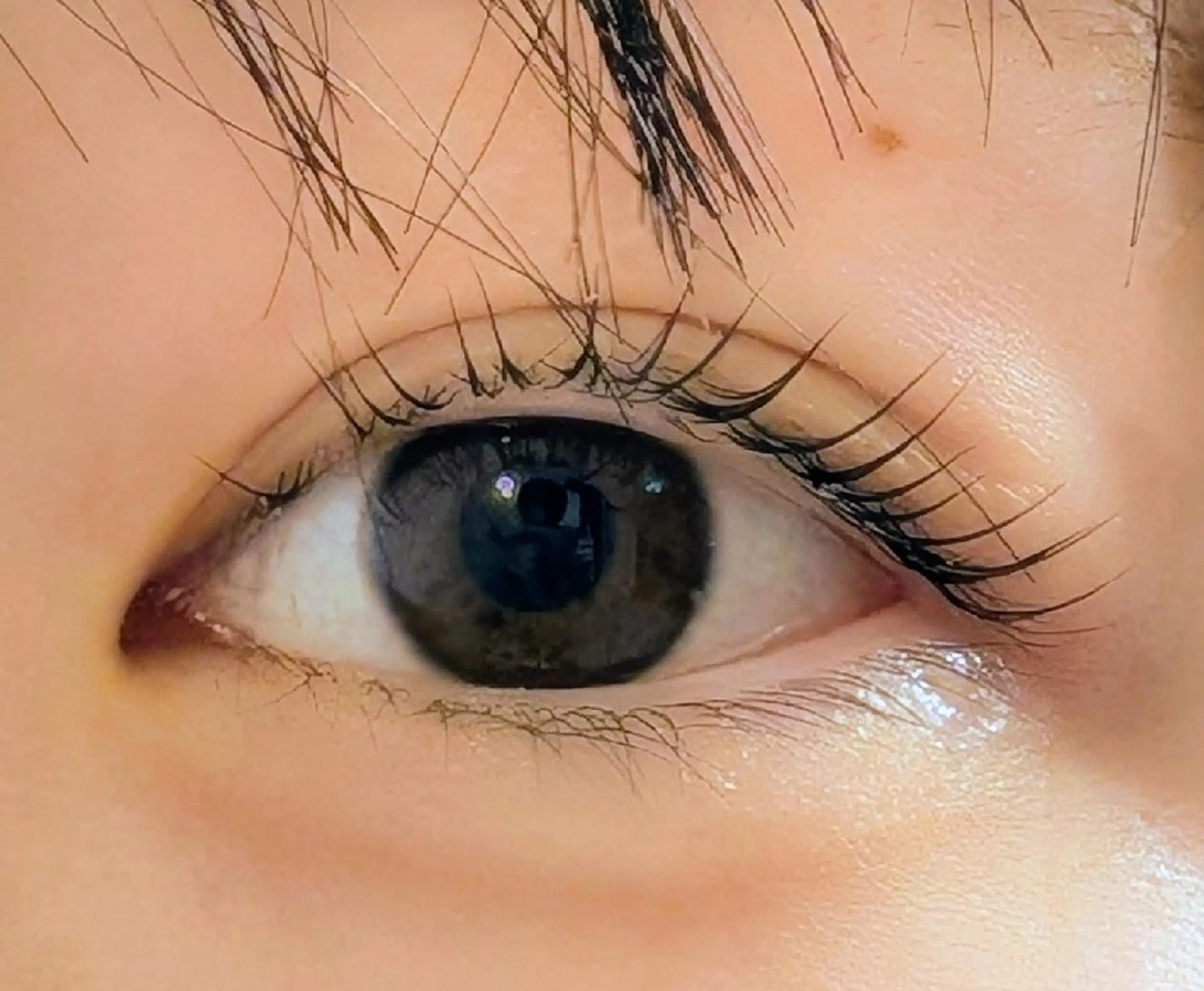 マツエク・マツパ まつげパーマ Sun Brown Ryu-gaのマツエク・マツパデザイン