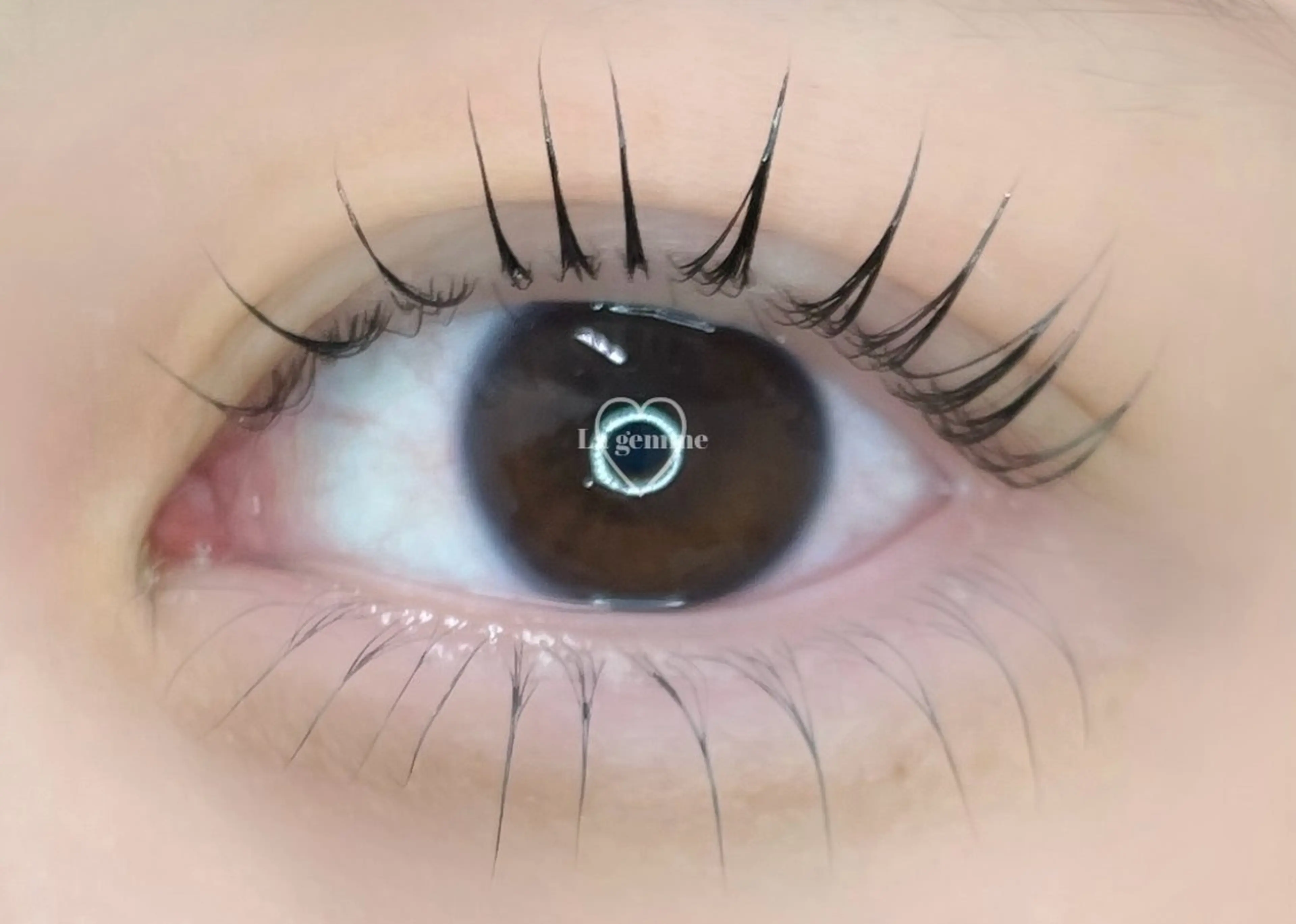 マツエク・マツパ バインドロック フラットラッシュ 韓国風マツエク パリジェンヌラッシュリフト まつげパーマ La gemme💍 Tanahashiのマツエク・マツパデザイン