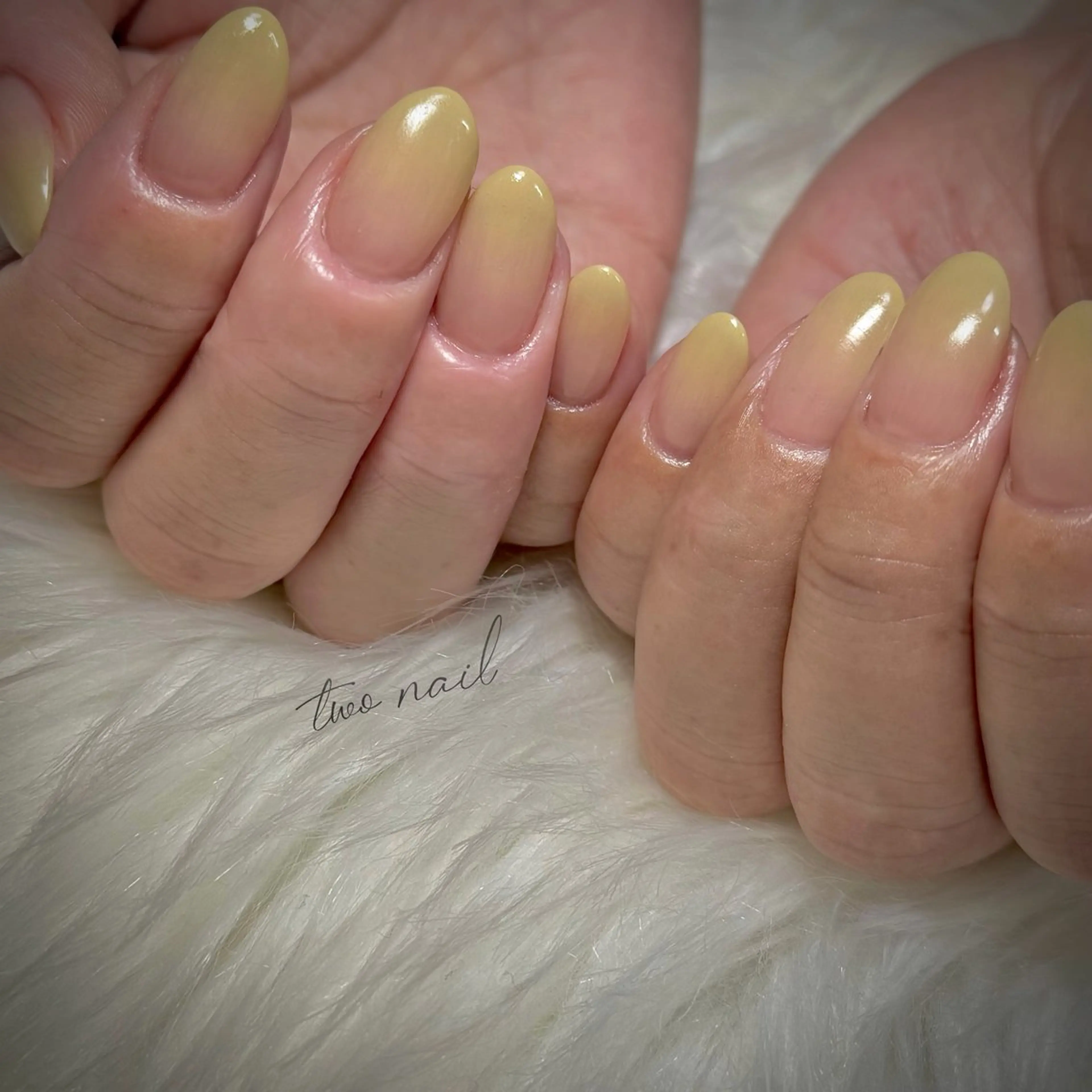 ネイル ネイルチップ ホワイト ハンドネイル two nailのネイルデザイン