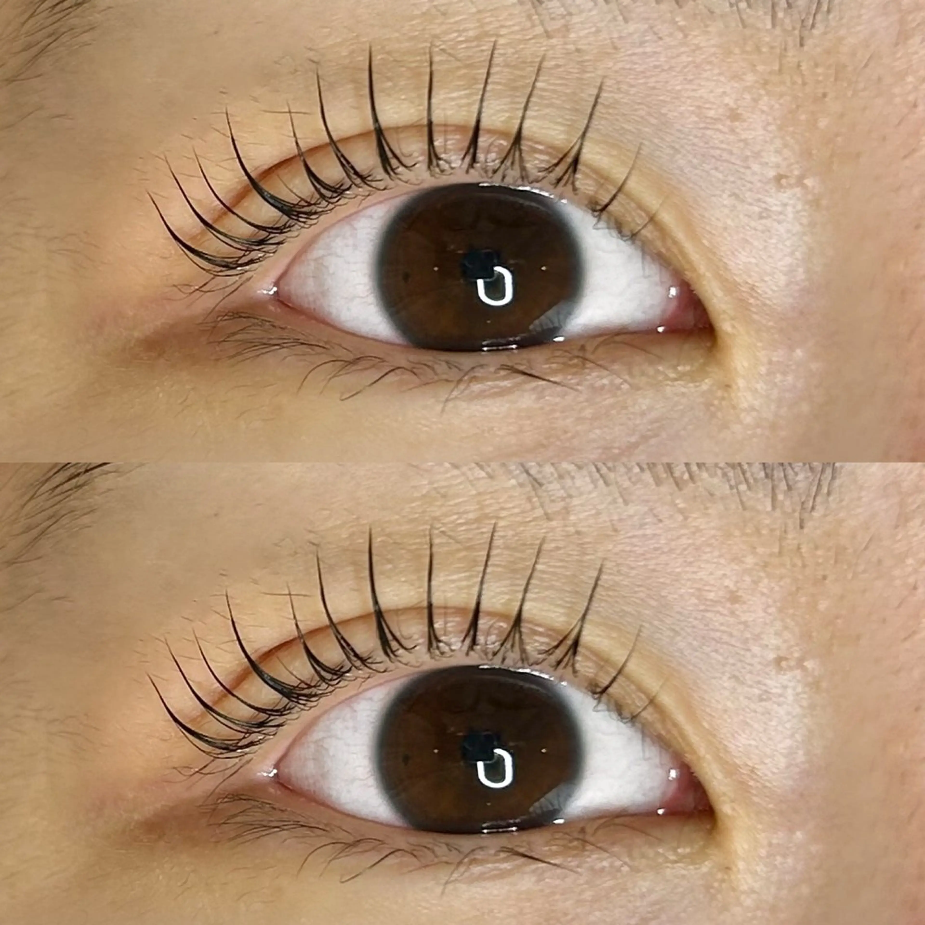 マツエク・マツパ Roy's lash所属・Roy's lash ♡　AYAのマツエク・マツパデザイン