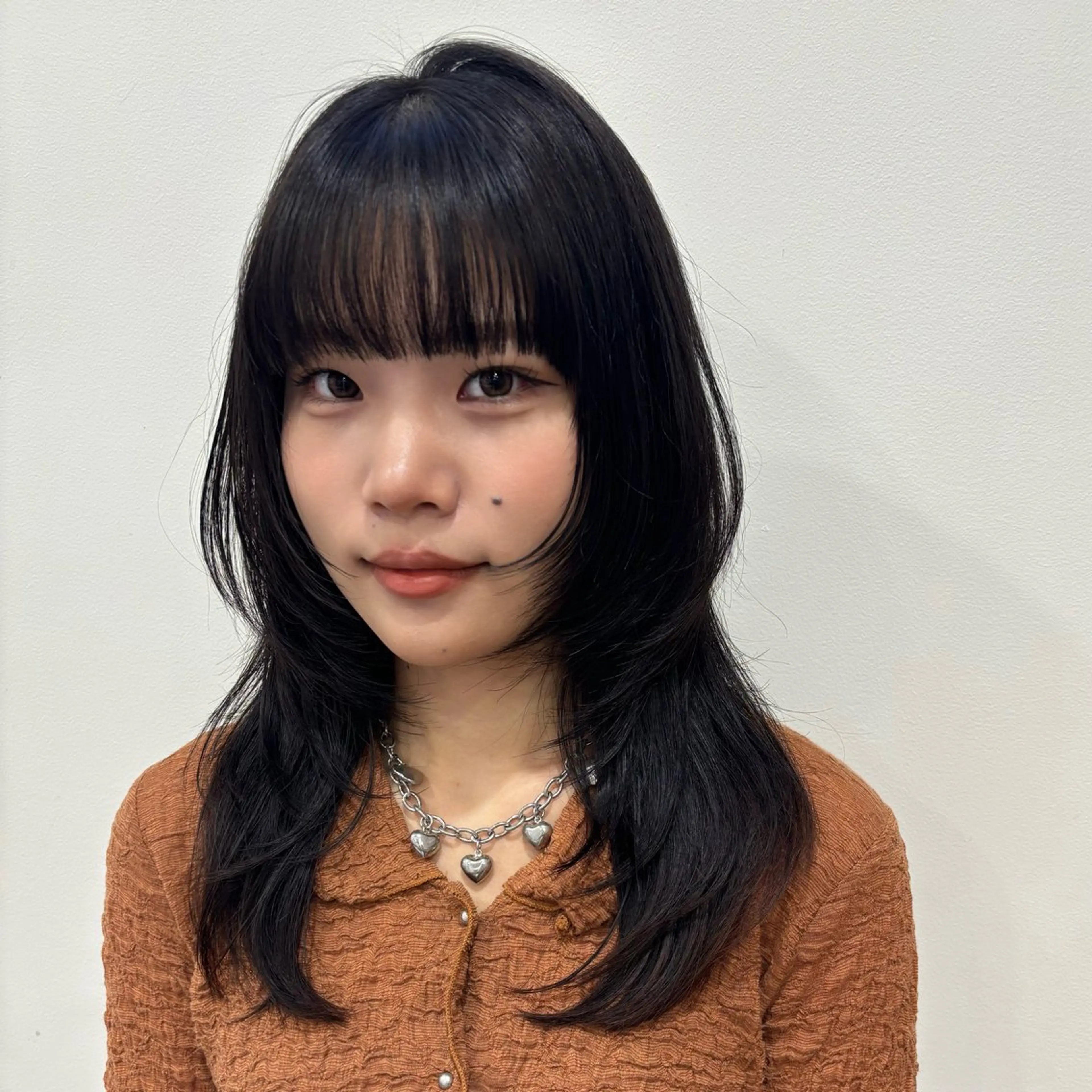 セミロング ハイレイヤー レイヤーカット 🎀レイヤー/ カラー🐕‍🦺anのヘアスタイル