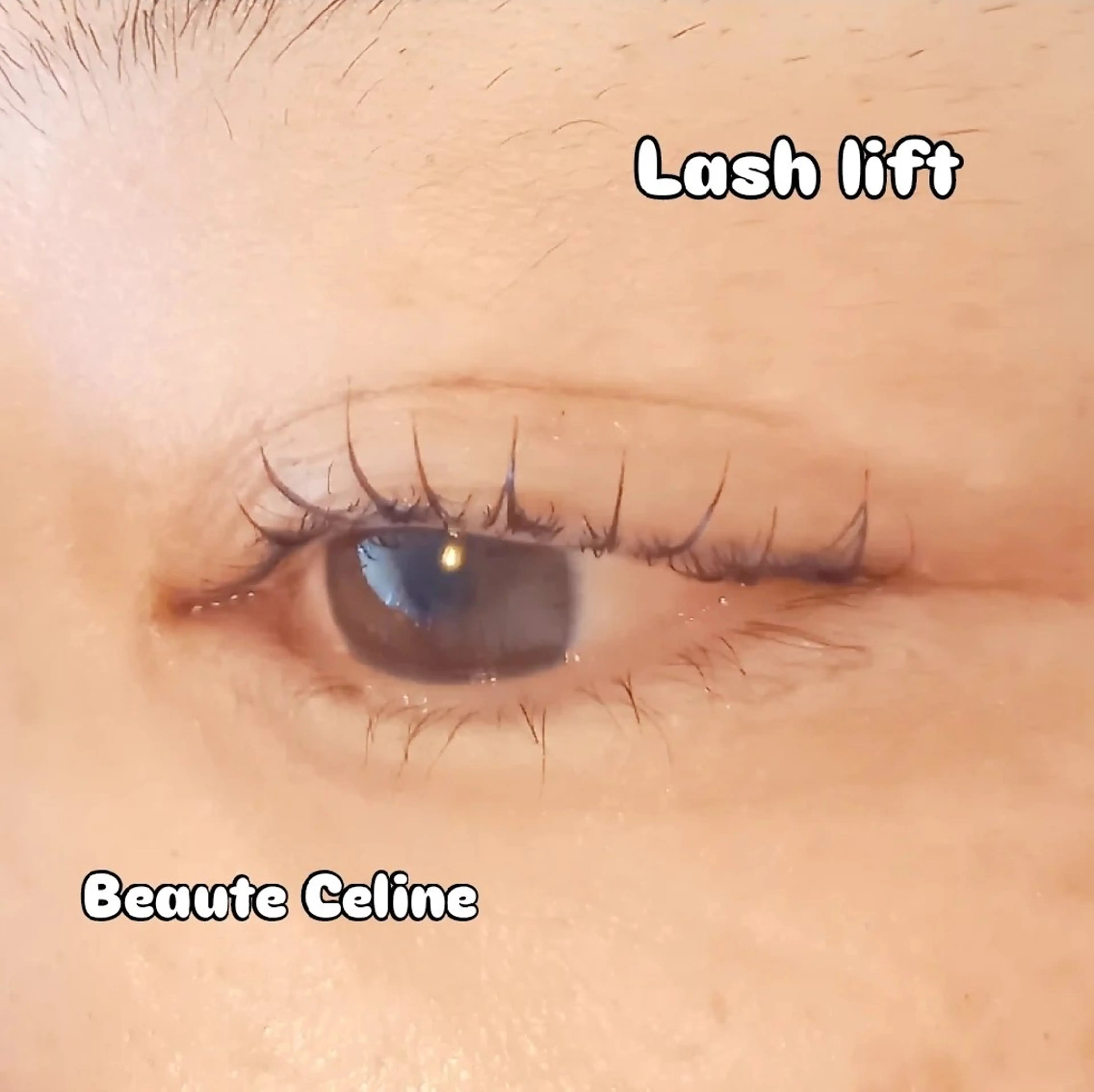 マツエク・マツパ マツパ 8時～✨beaute Celine🌛🌹のマツエク・マツパデザイン