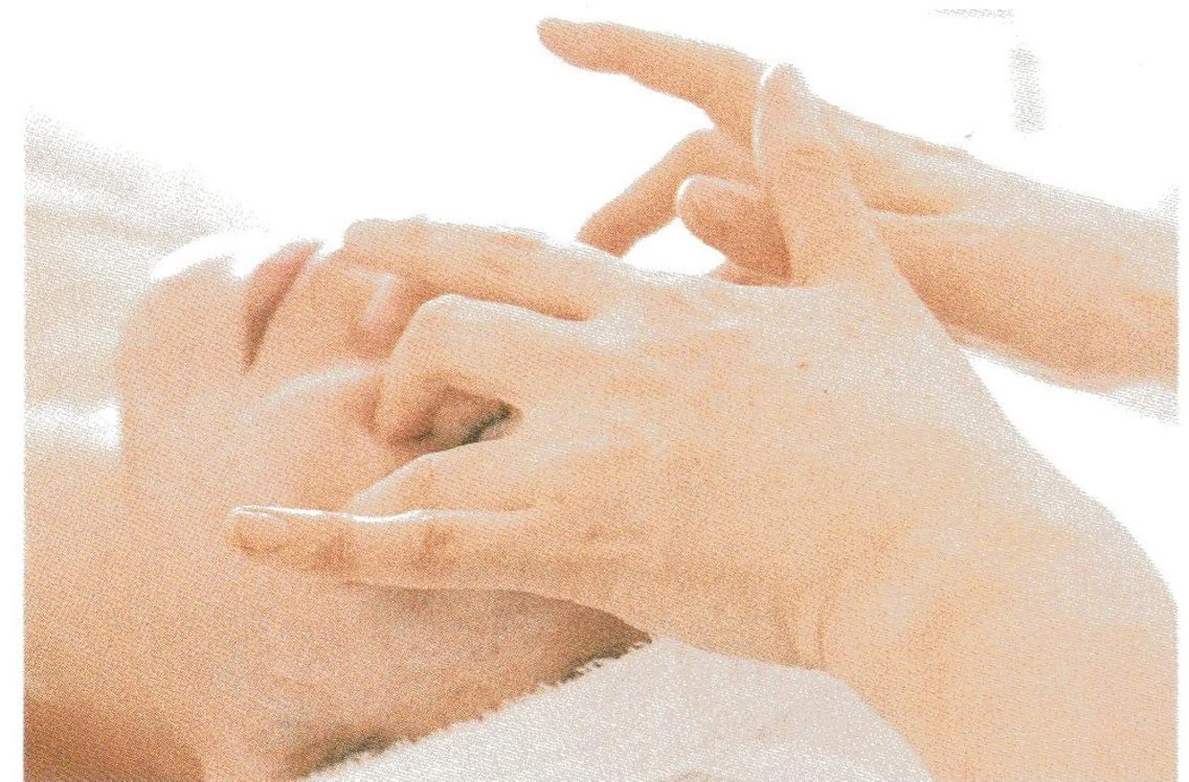 酒井綾子 .トアボーテの眉毛・アイブロウイメージ