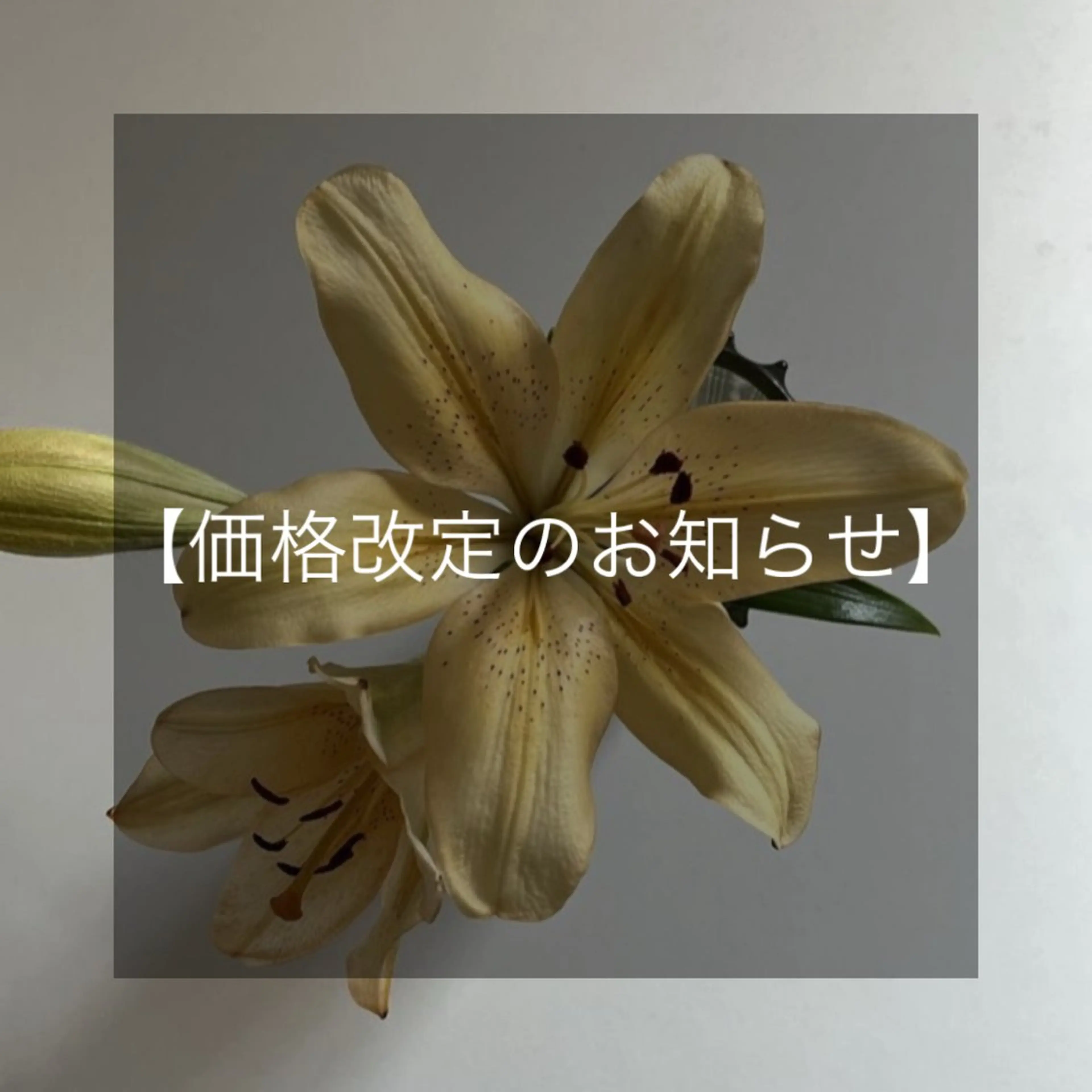 ROCCO Yukaのマツエク・マツパデザイン