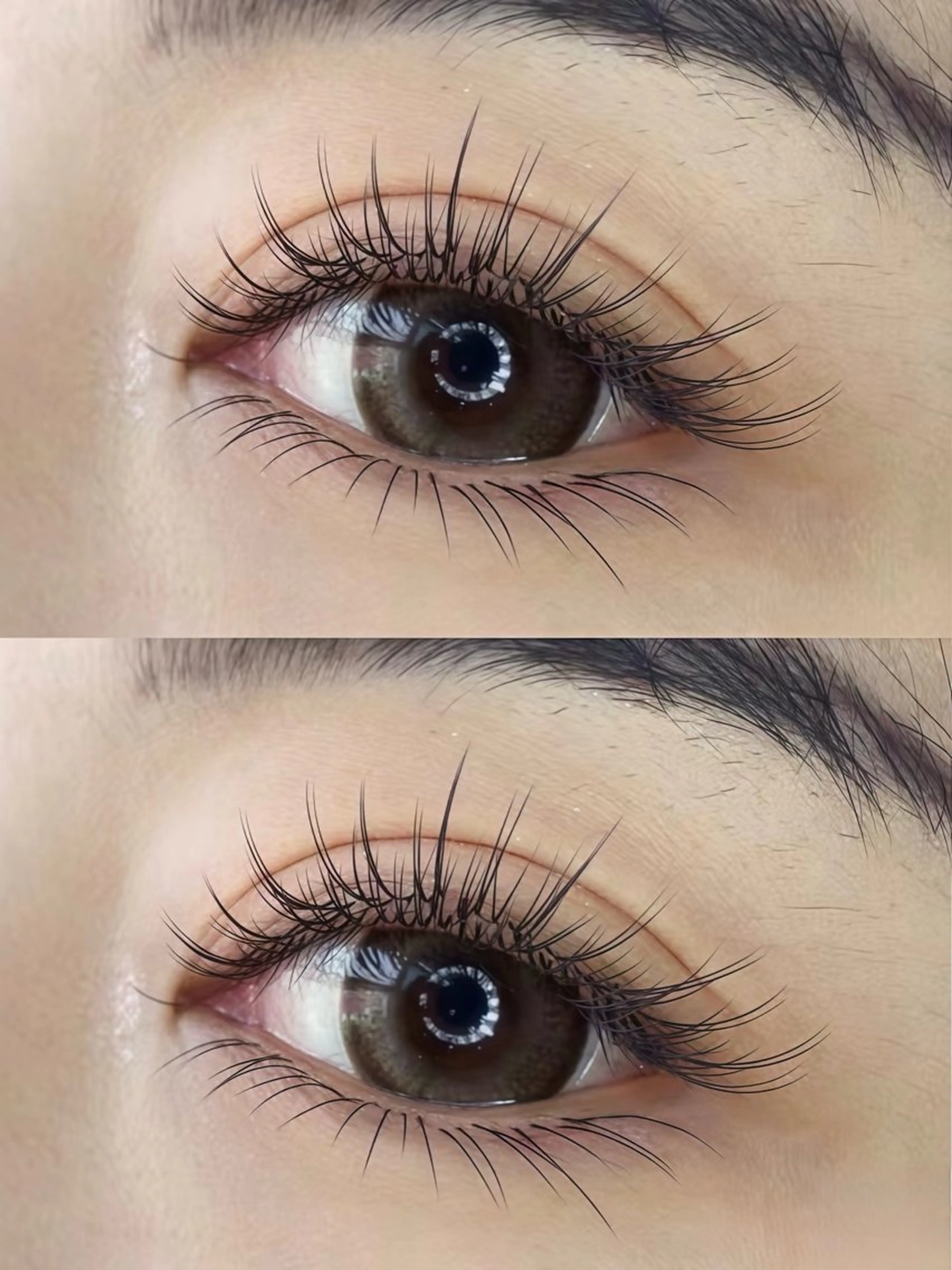 🌸濃さx持ち w ダブルフラットラッシュ 140束(280本) コーティング付の写真