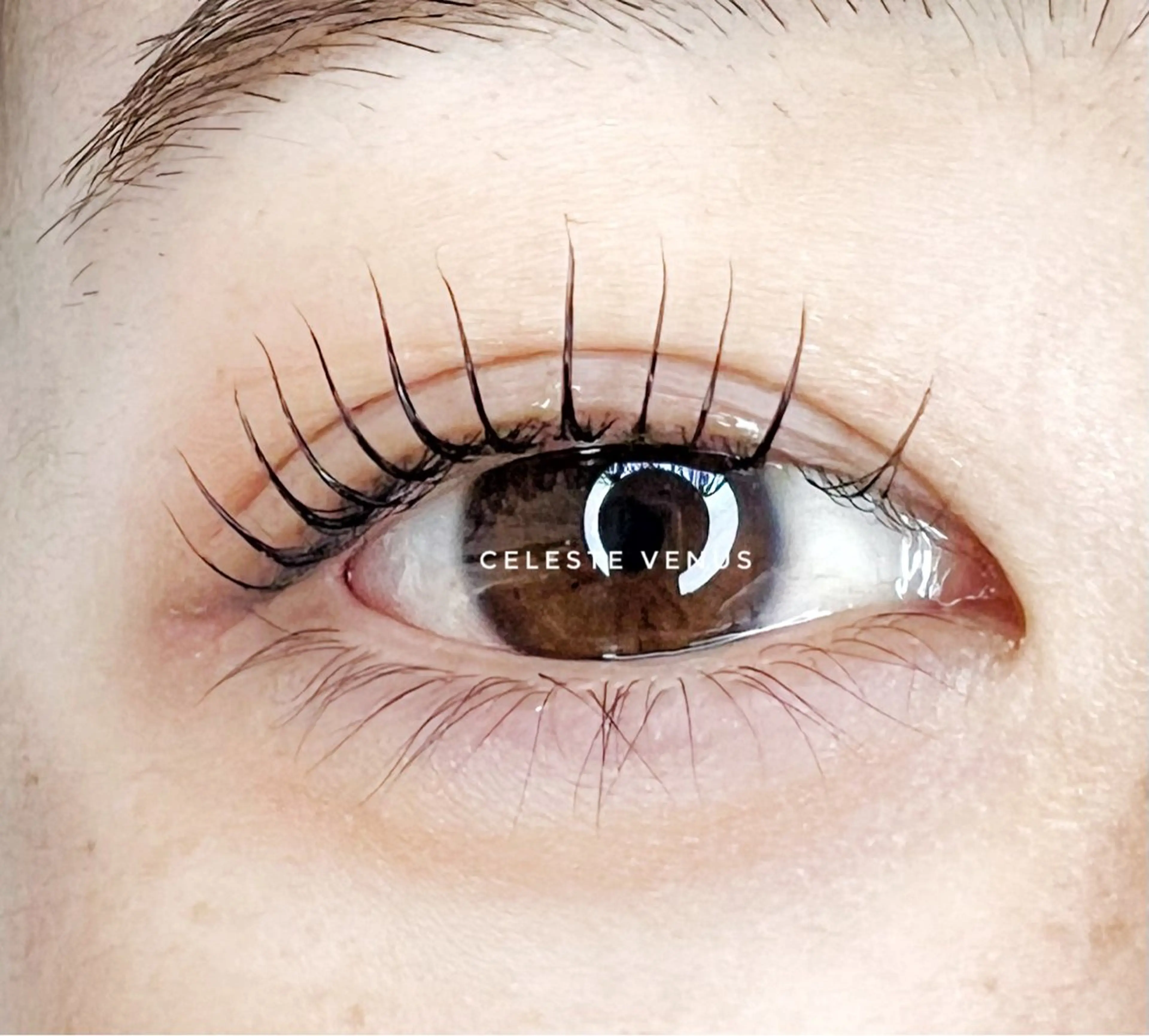 マツエク・マツパ 🧸Celeste Venusのマツエク・マツパデザイン