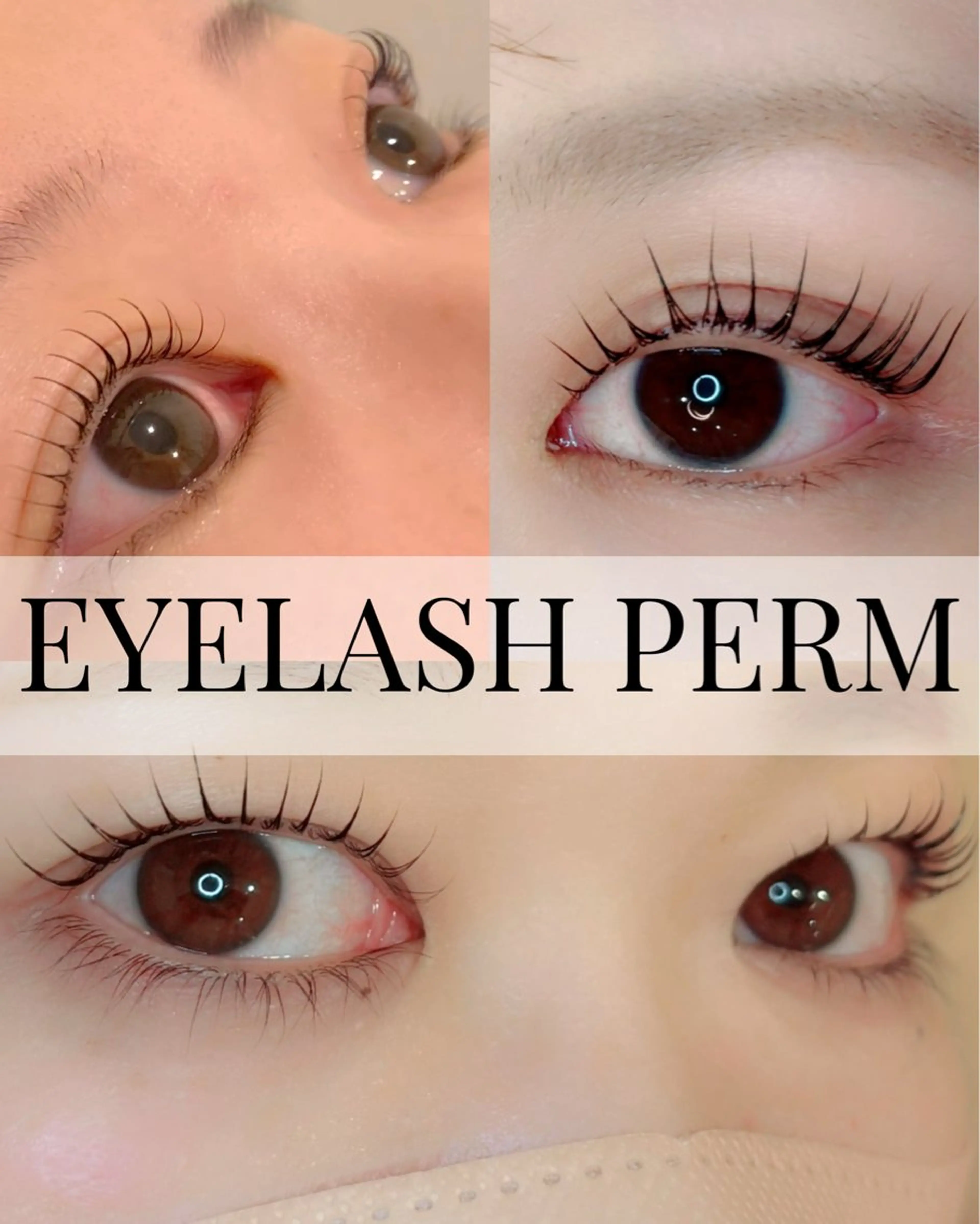 まつ毛パーマ★通常5500→3000の写真