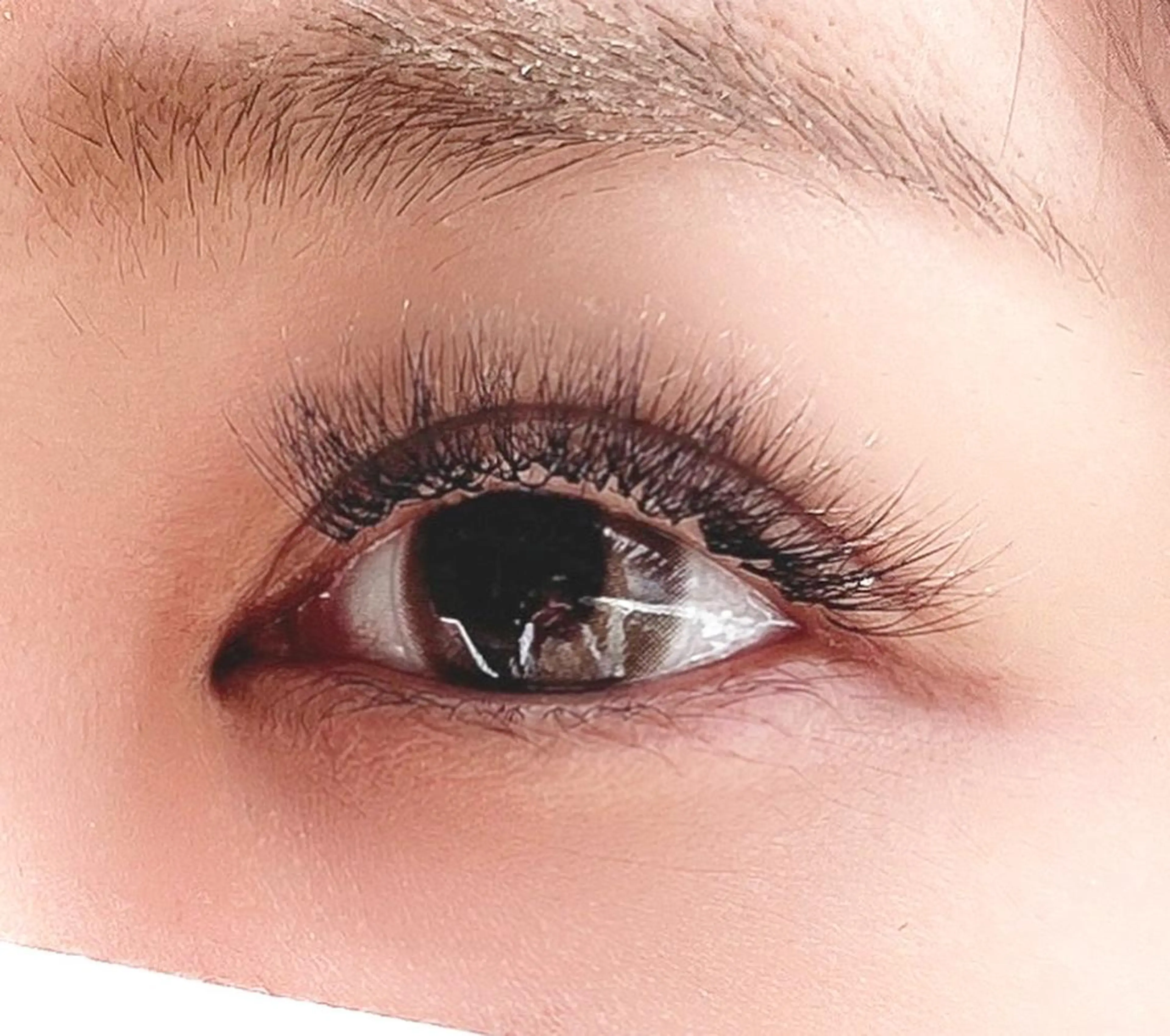 マツエク・マツパ 付け放題 ボリュームラッシュ マツエク Sifa eyelashのマツエク・マツパデザイン