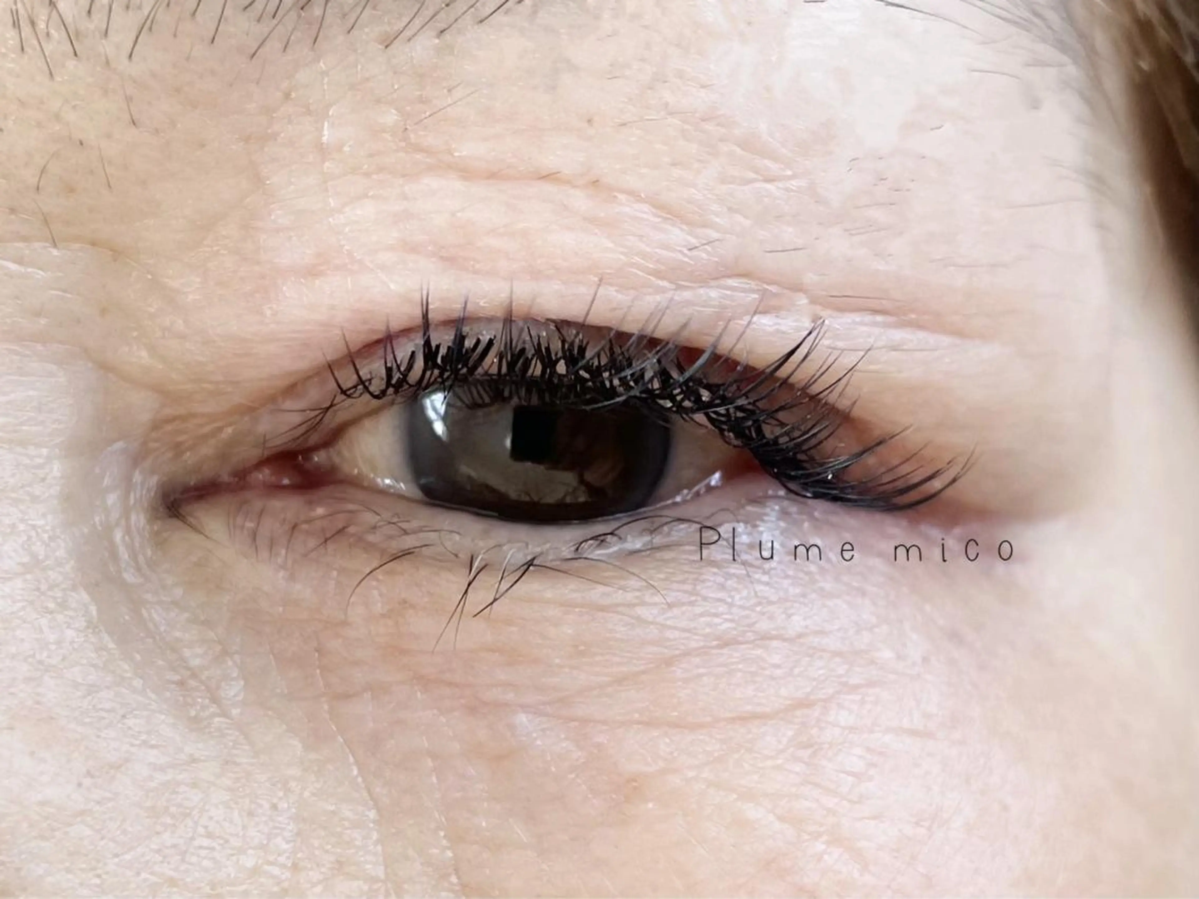 マツエク・マツパ マツエク Plume micoのマツエク・マツパデザイン