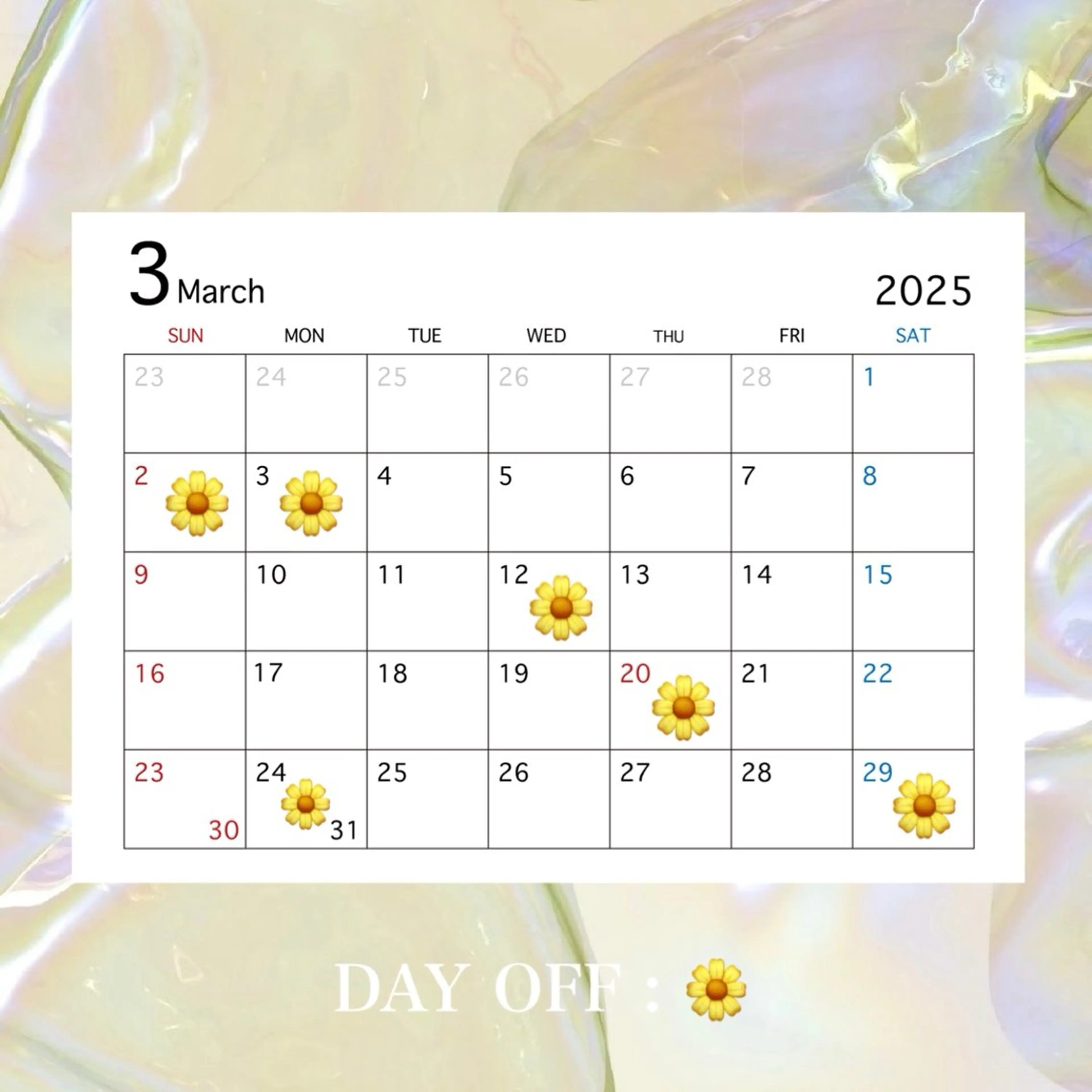 Vias所属・【 Vias 】 mayuのマツエク・マツパデザイン