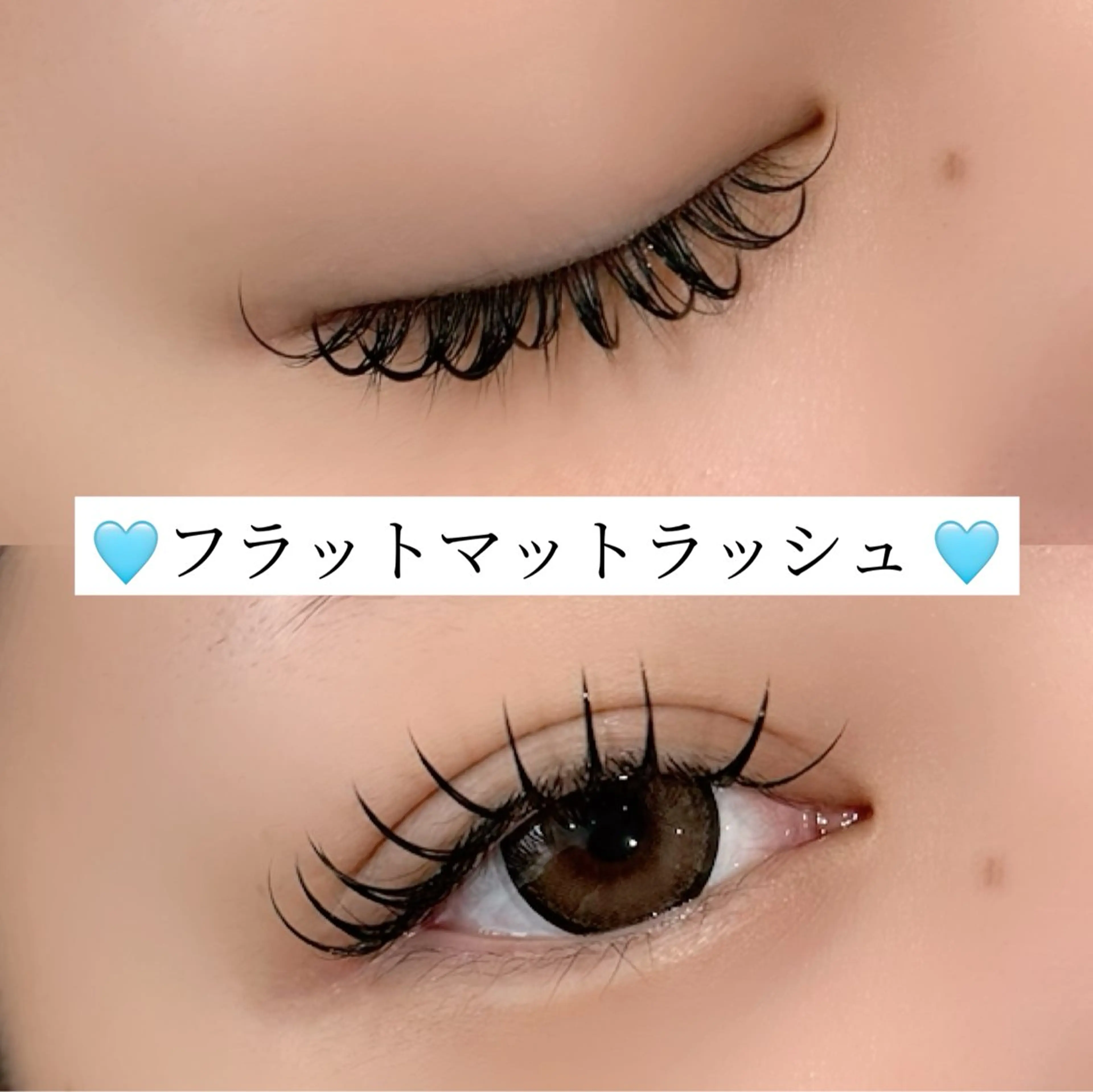 シングルエクステ(フラットマットラッシュ)100​〜​120本 ￥4550の写真