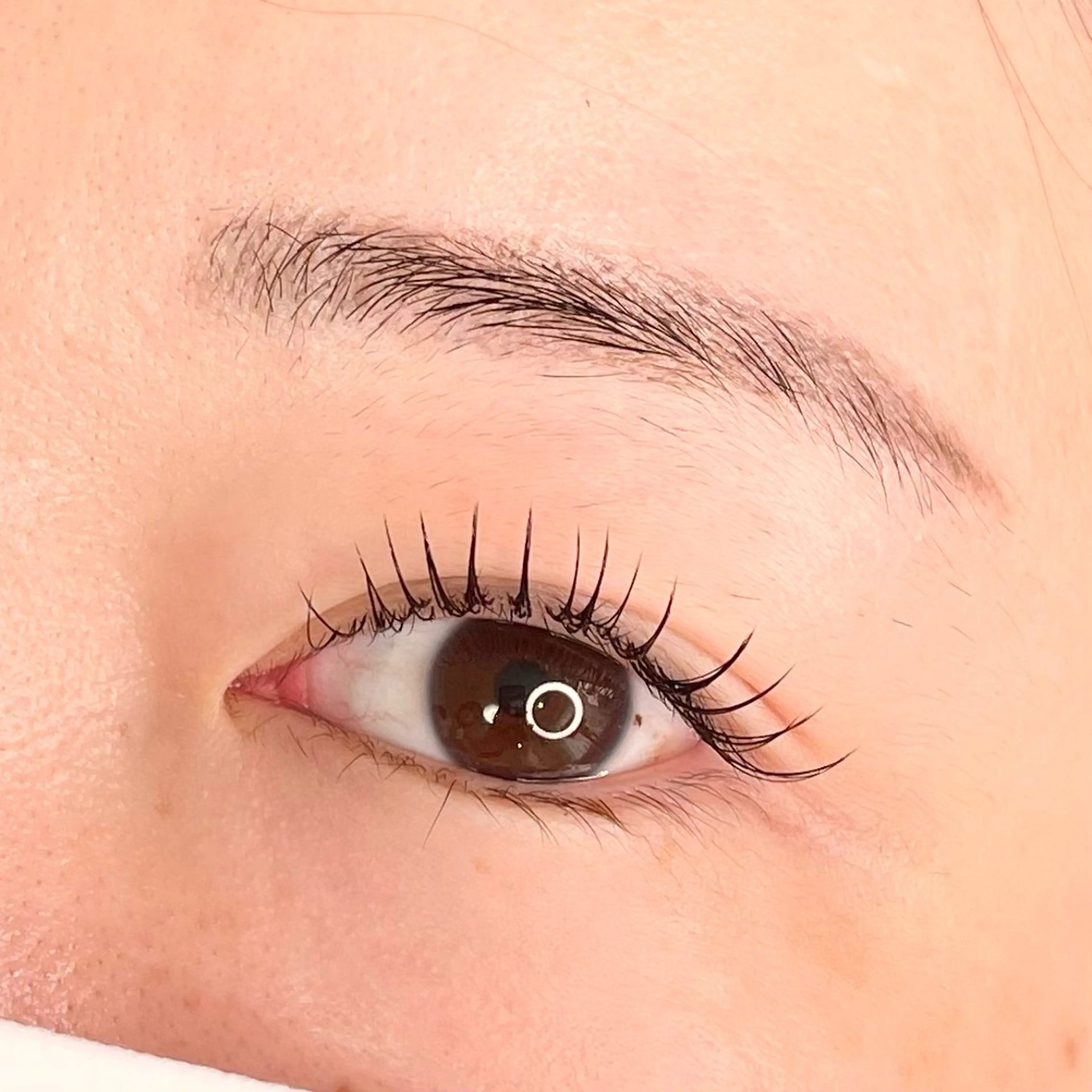 マツエク・マツパ 束感まつ毛 マツエク 当日◎中目黒 まつげまゆげサロンのマツエク・マツパデザイン