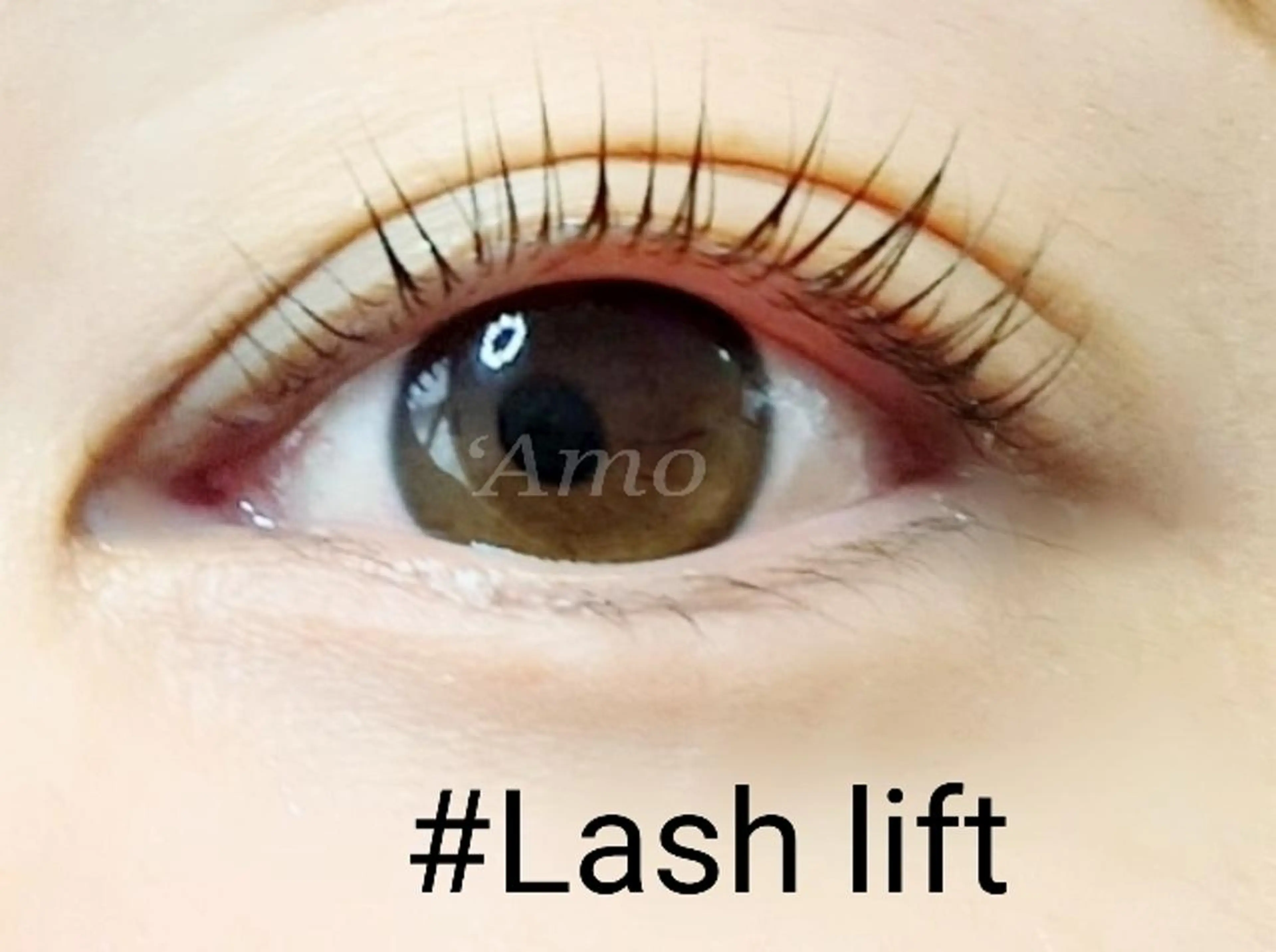 マツエク・マツパ ナチュラル ‘Amo アモのマツエク・マツパデザイン