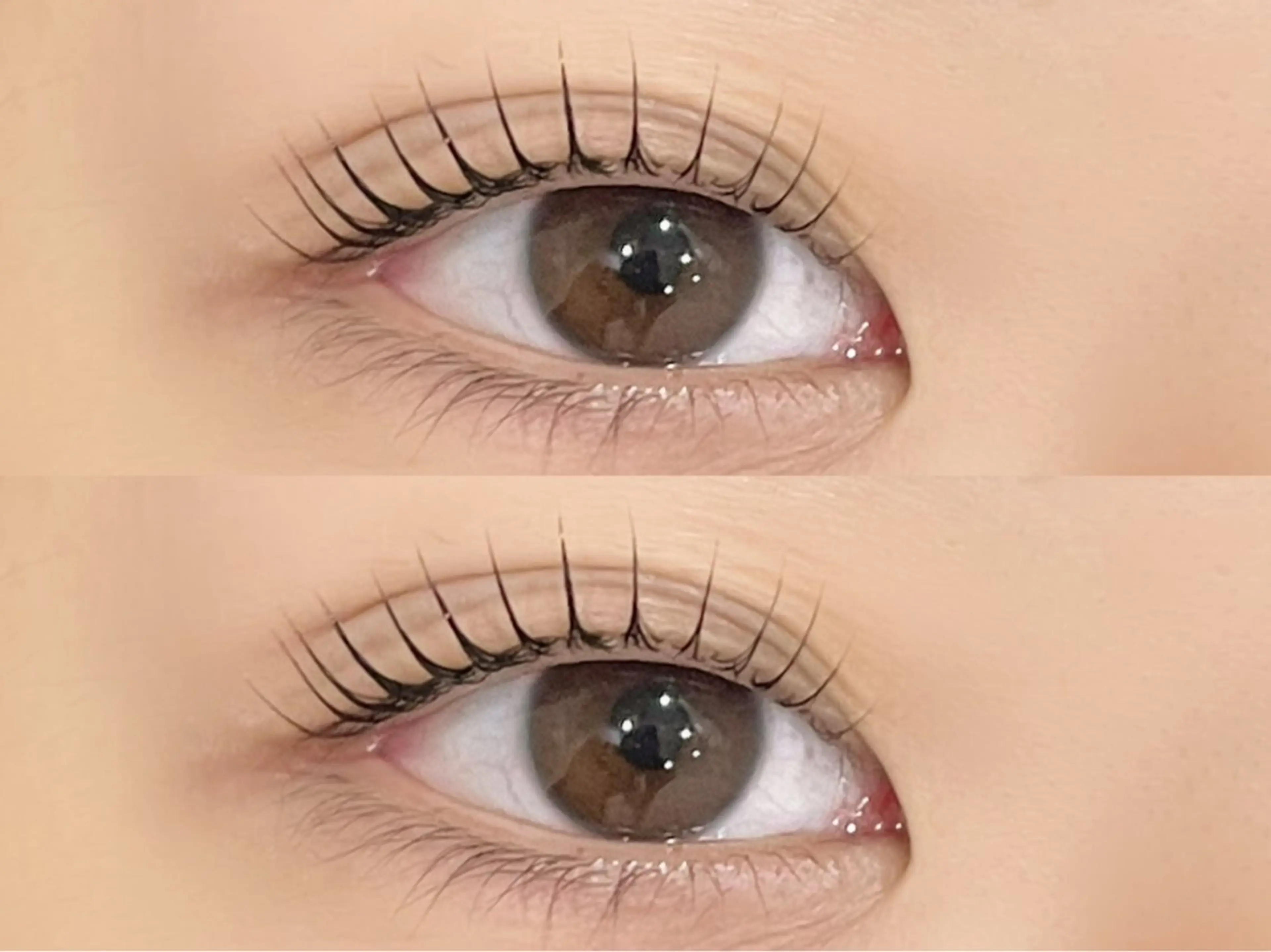 🫧‪パリジェンヌラッシュリフト🫧♡アイシャンプー付き♡の写真