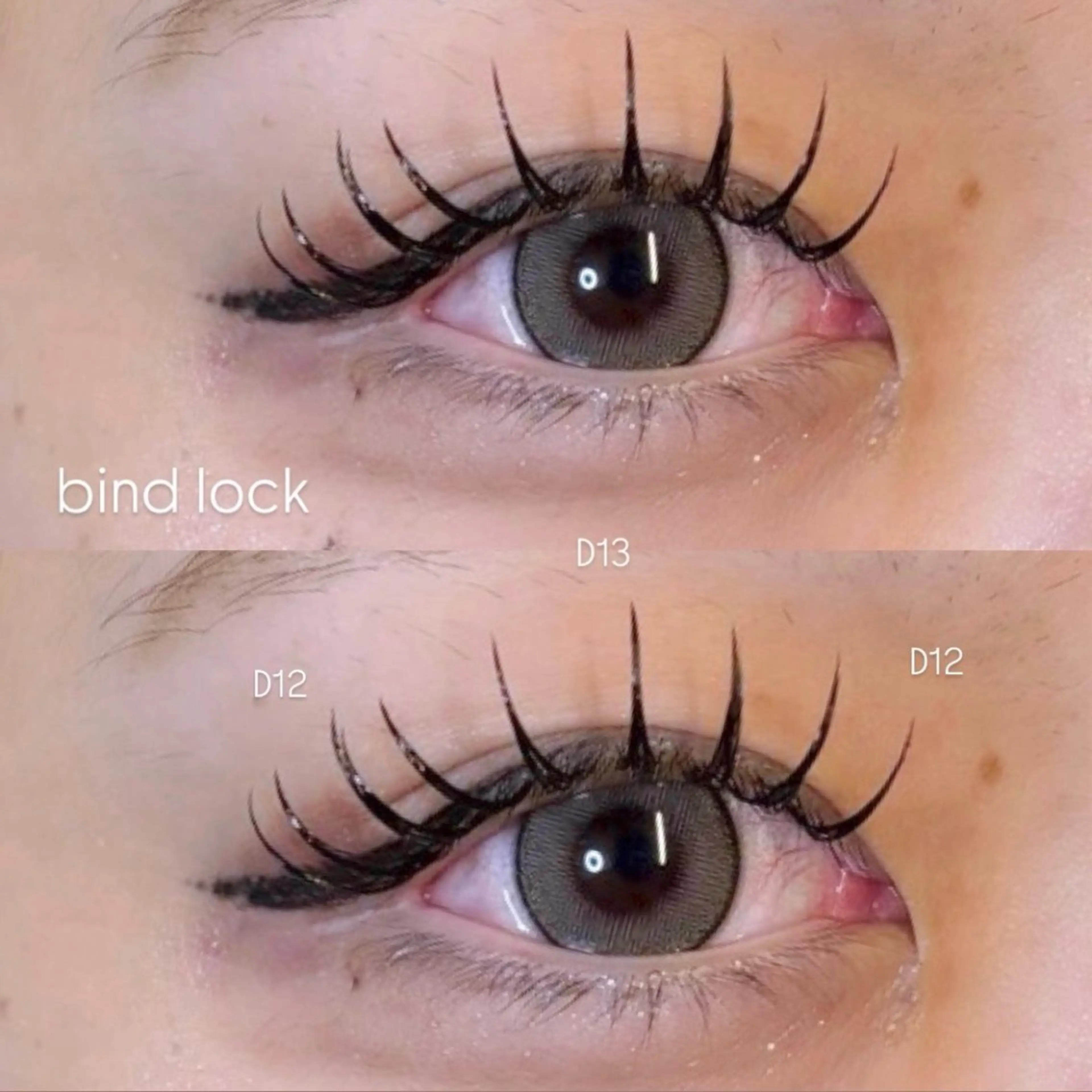 《4月平日限定☆》バインドロック 120束の写真