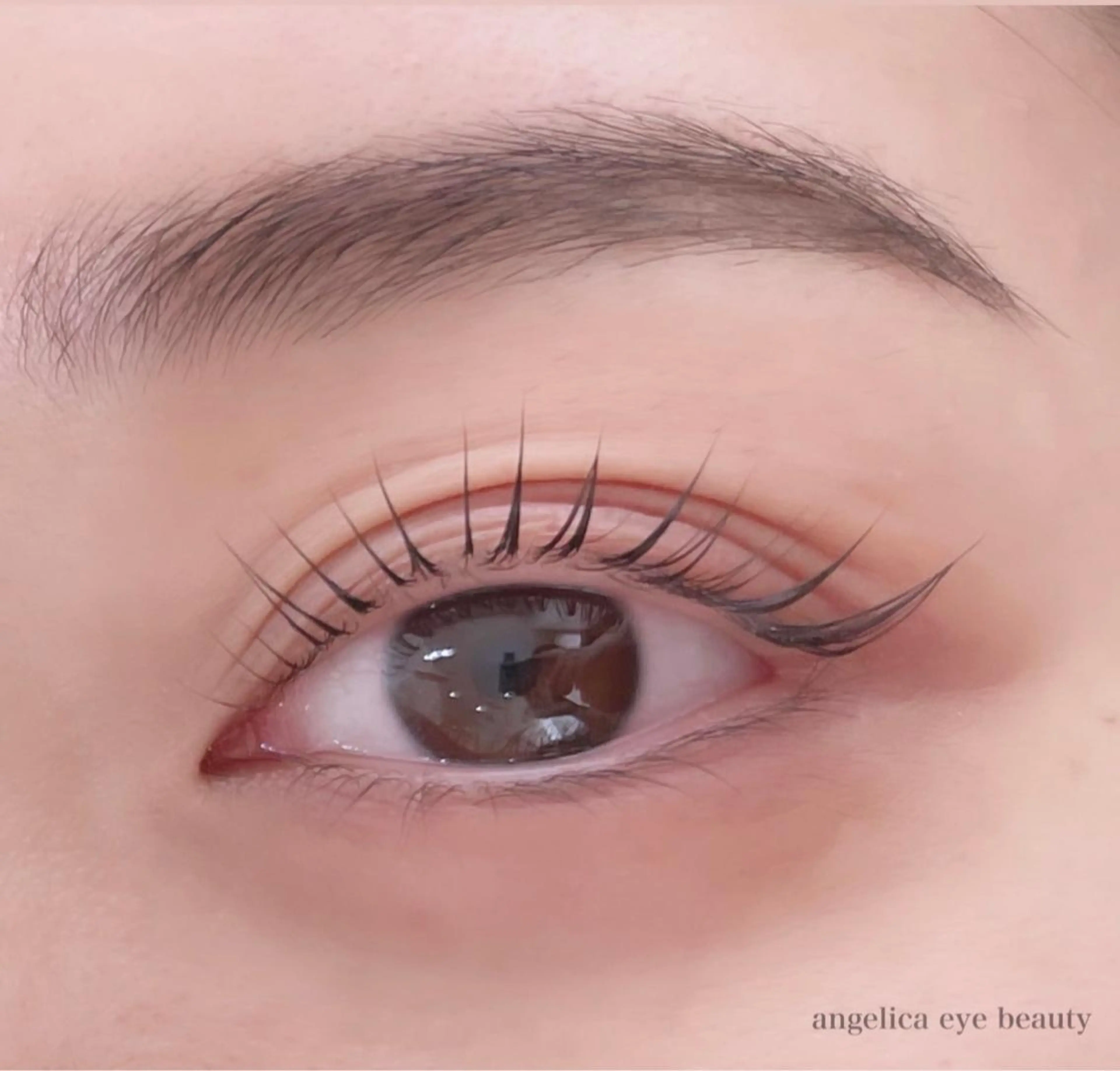 似合わせ2種類のラッシュリフト《６週間以内5500円/以降6500円》の写真