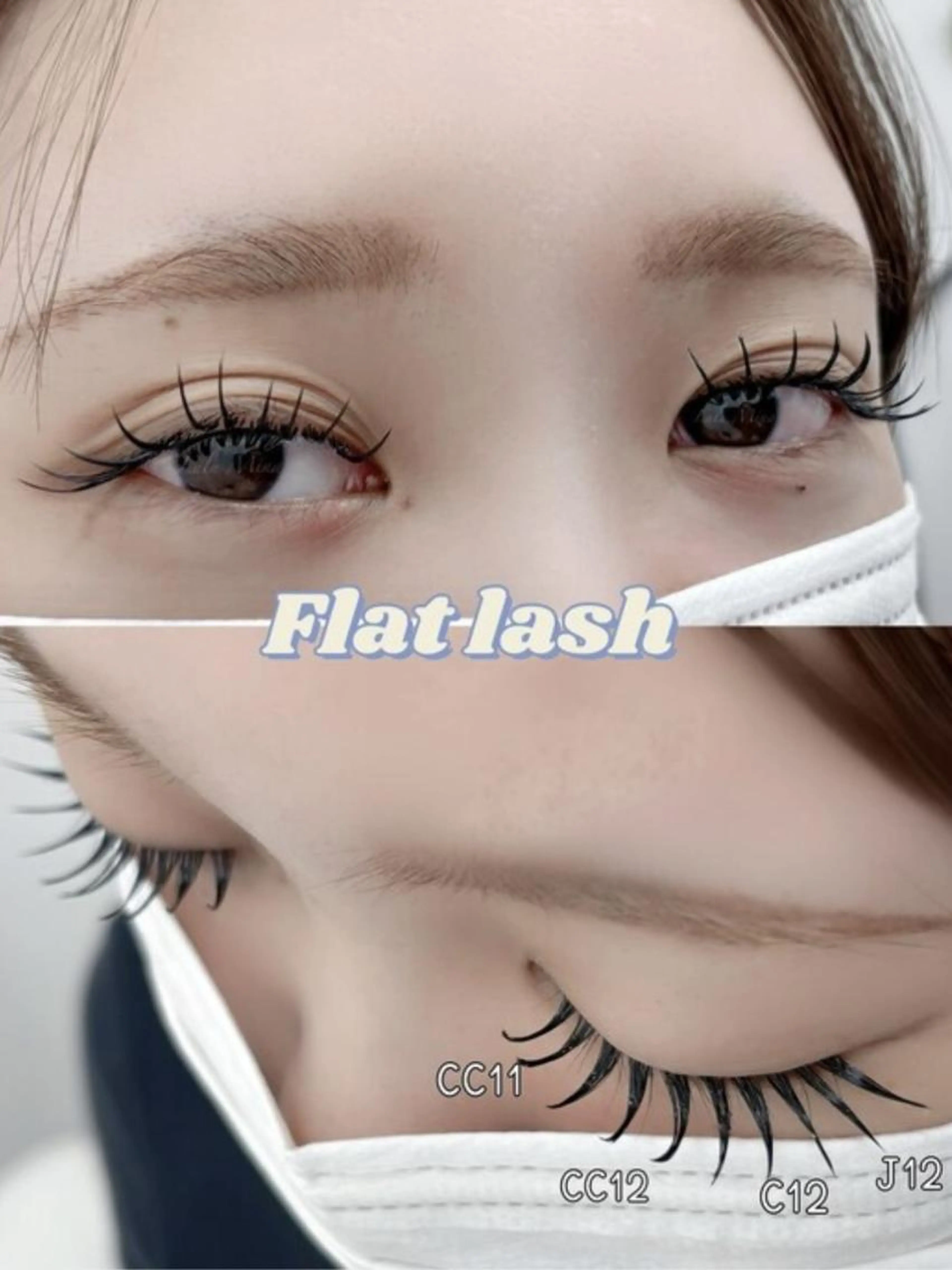 フラットラッシュ120本の写真