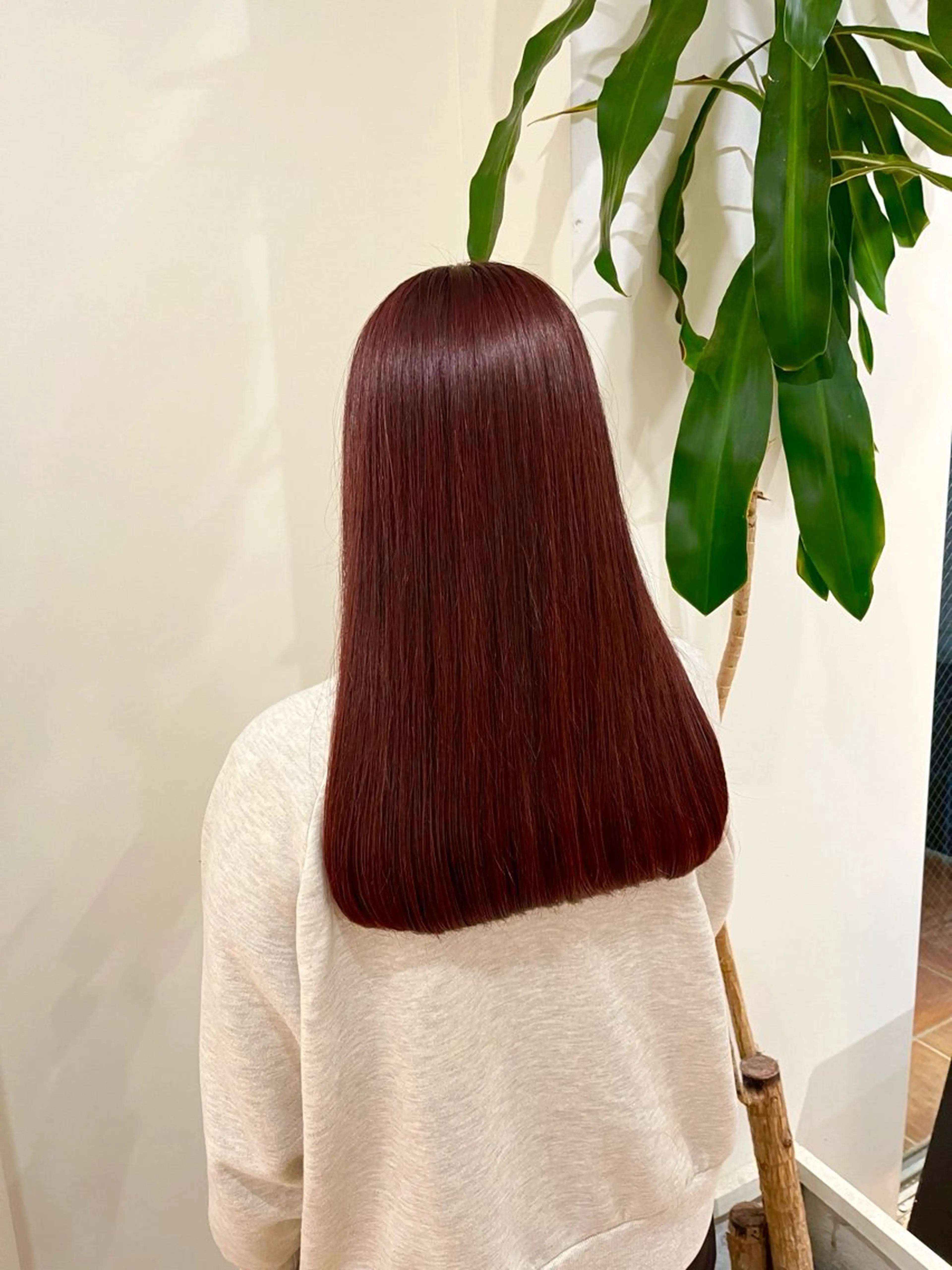 ロング カラー レッドカラー ヘアカラー るな/暖色、 ベージュカラー🎀のヘアスタイル