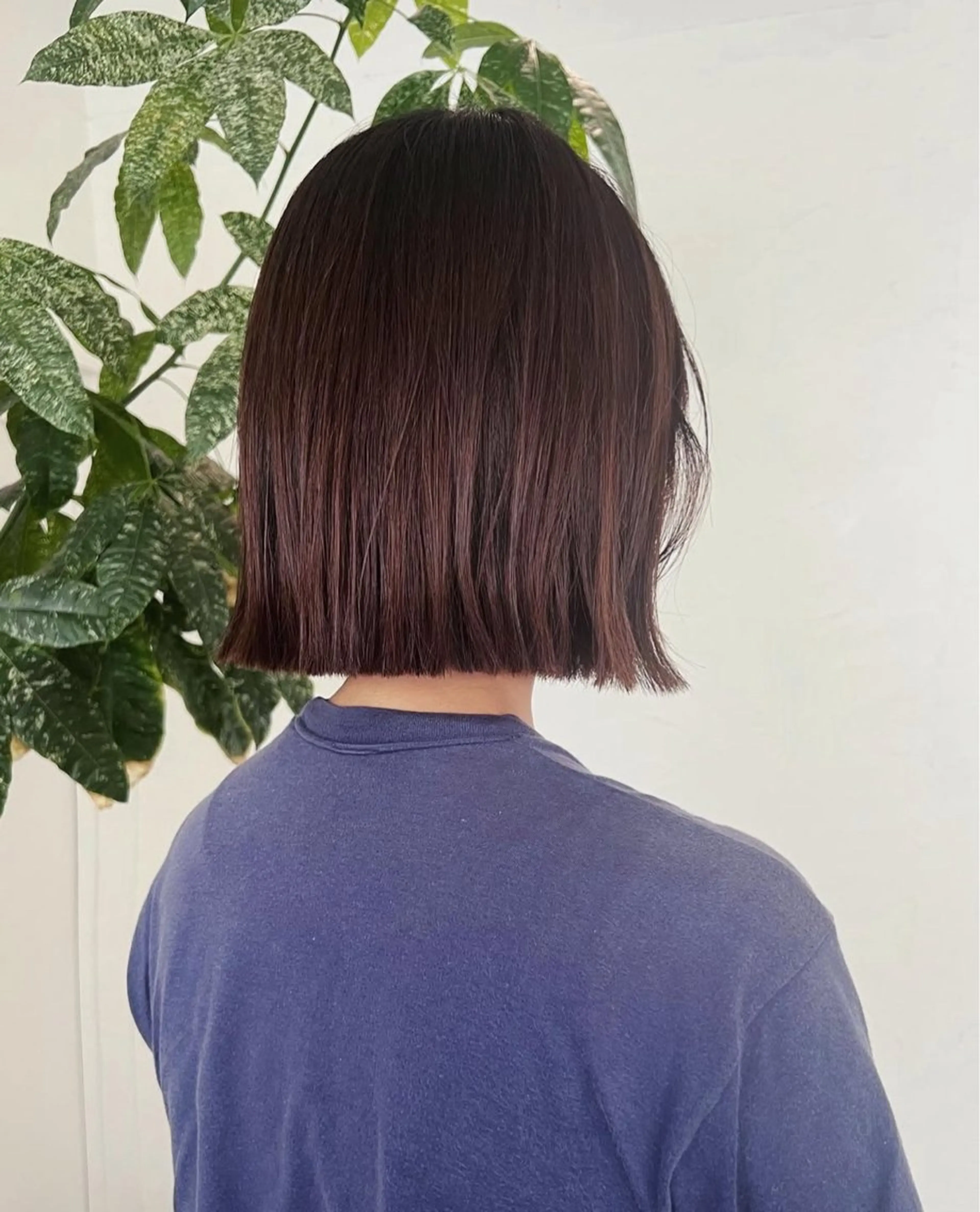 ミディアム カラー 林 妃和のヘアスタイル