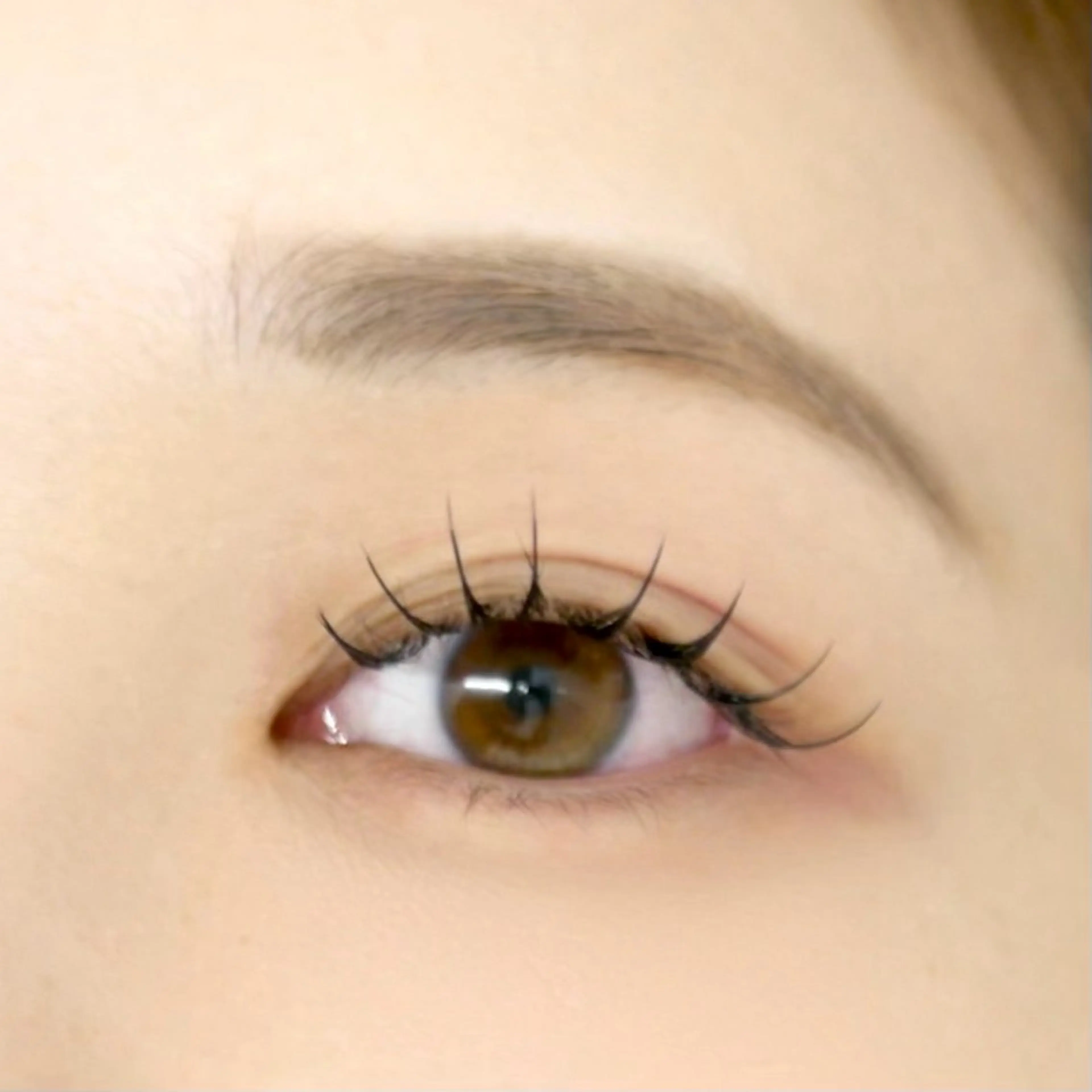 マツエク・マツパ マツエク R eyelash ／ suzuのマツエク・マツパデザイン