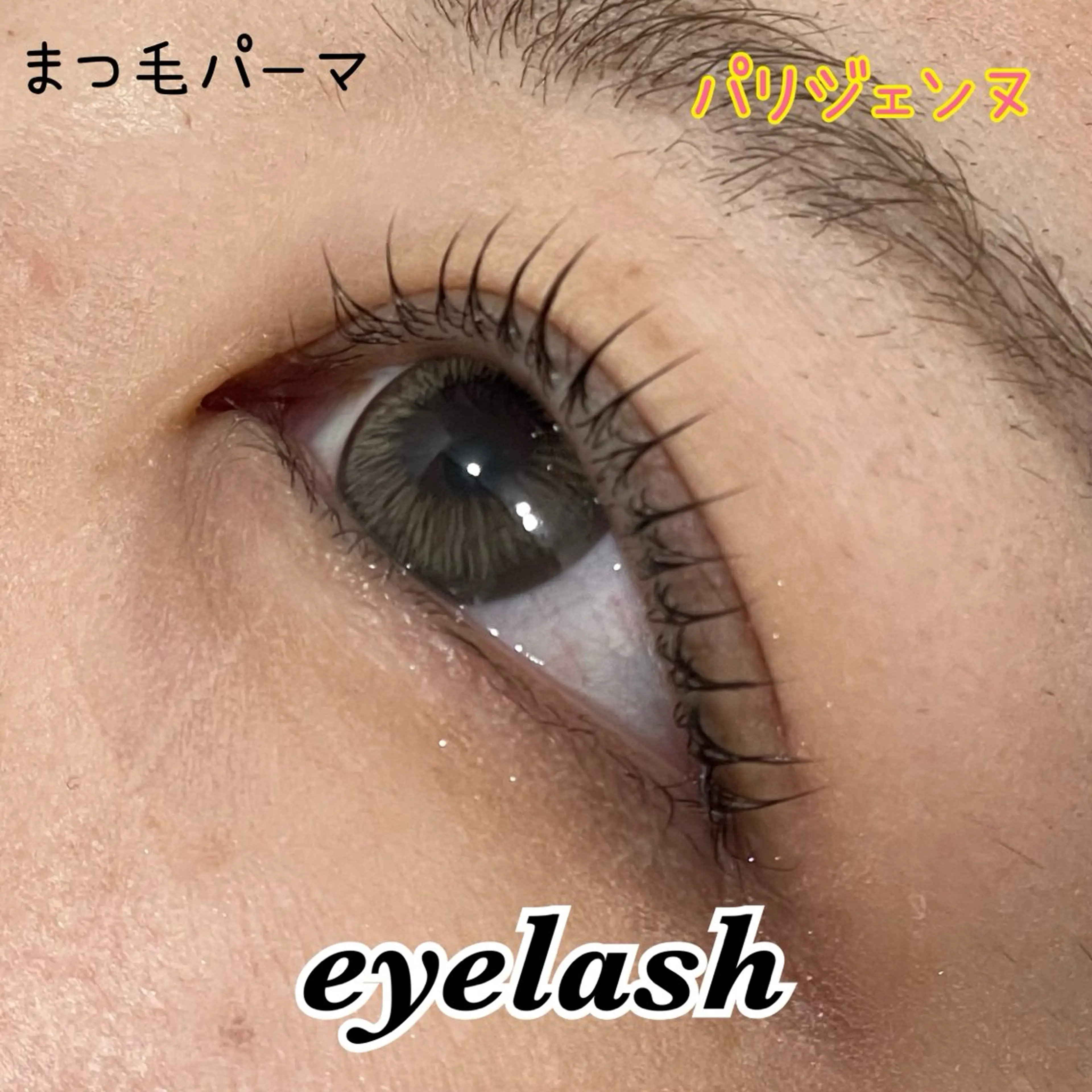 パリジェンヌ✨️ (コーティング付き✨️)の写真