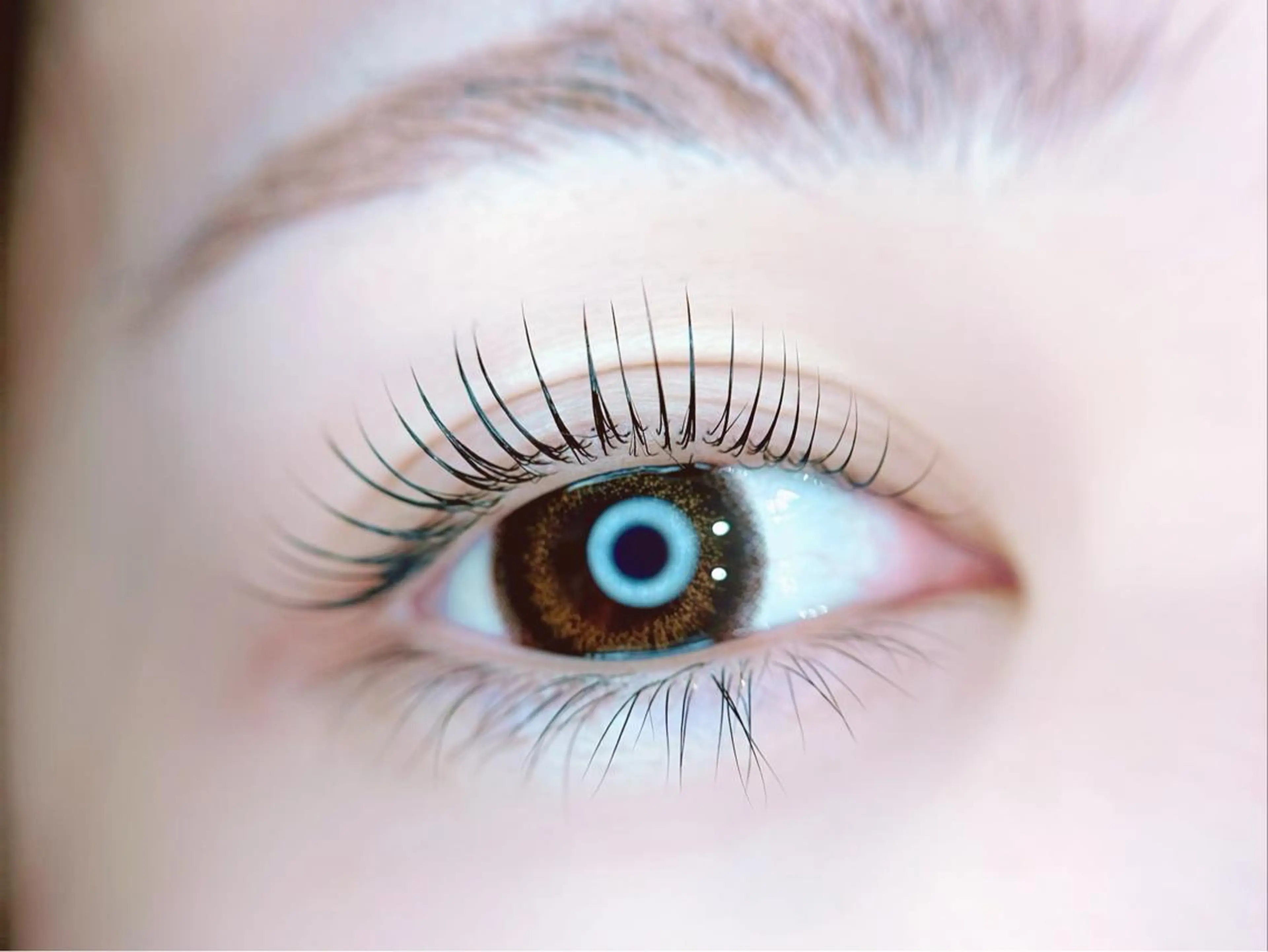 上まつ毛パーマ(ケラチントリートメント＋アイシャンプー＋コーティング＋マツエクオフ込み)の写真