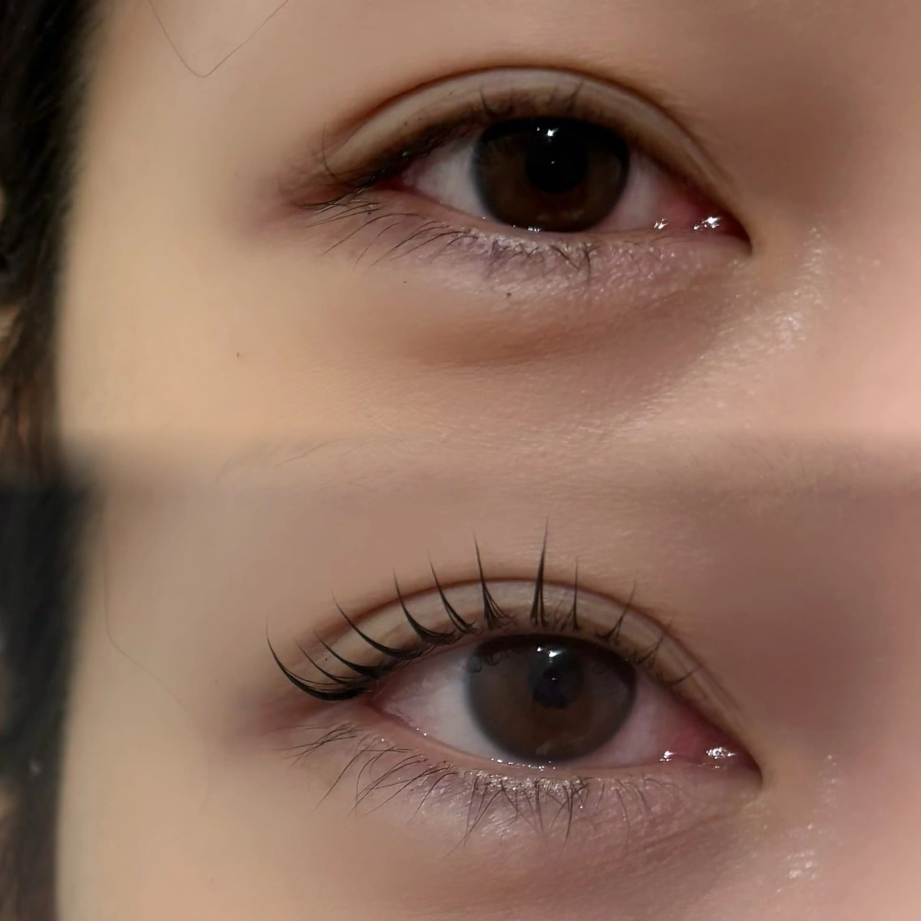 《初回¥1.500OFF》🎀まつ毛パーマ 上 🎀の写真