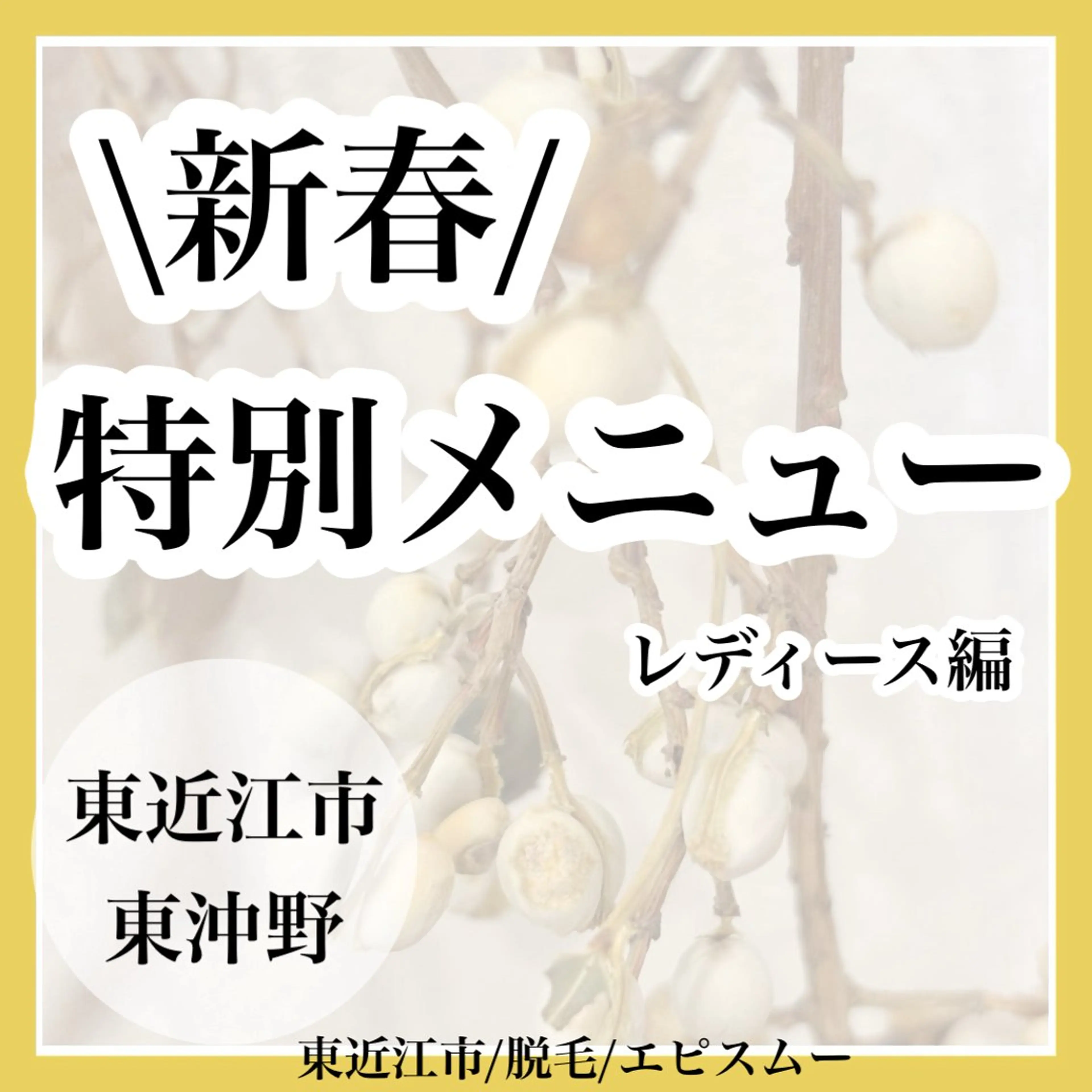 epismoo 脱毛/HBL/毛穴の眉毛・アイブロウイメージ