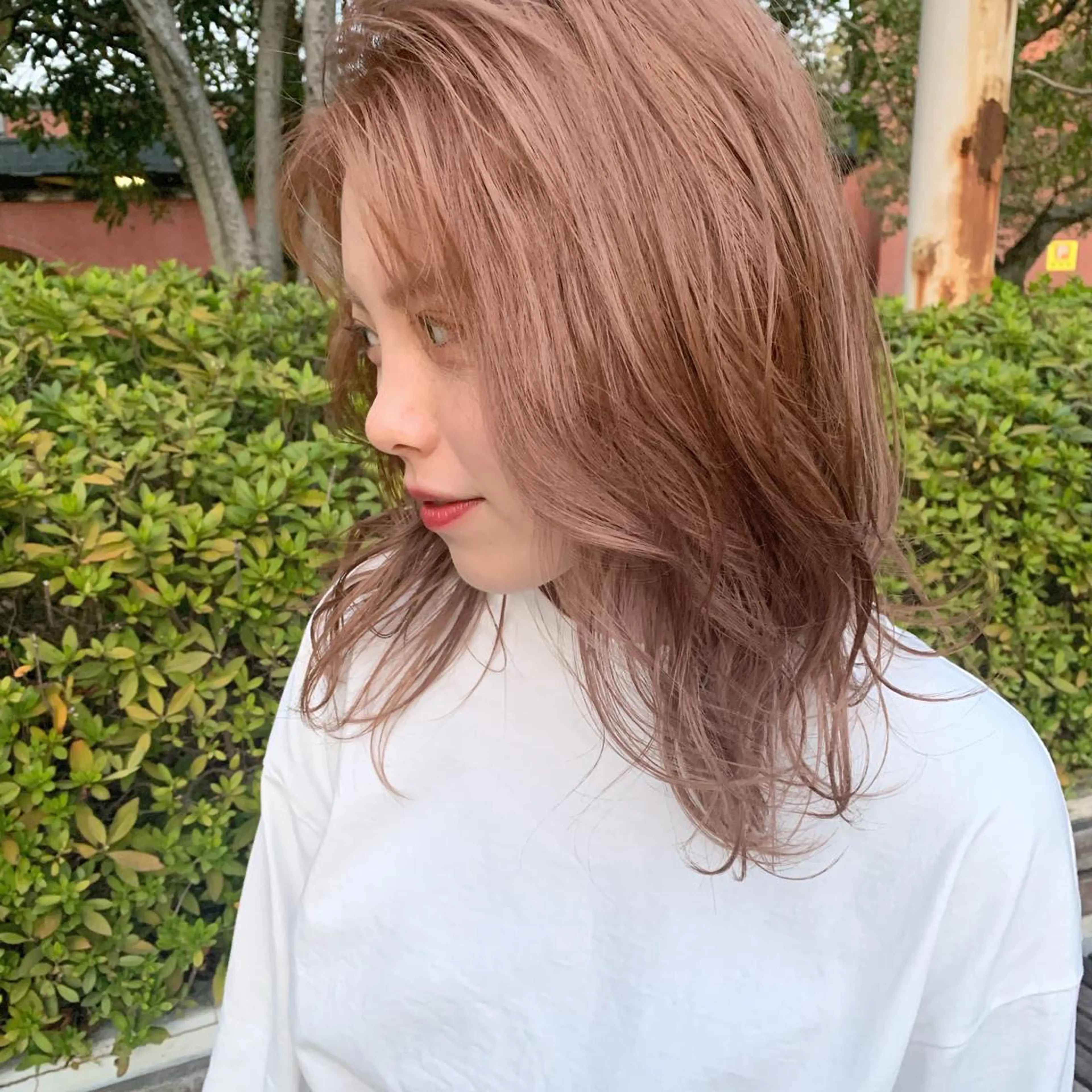 【新規】✨人気No.3✨カット＆トリートメント🪡の写真