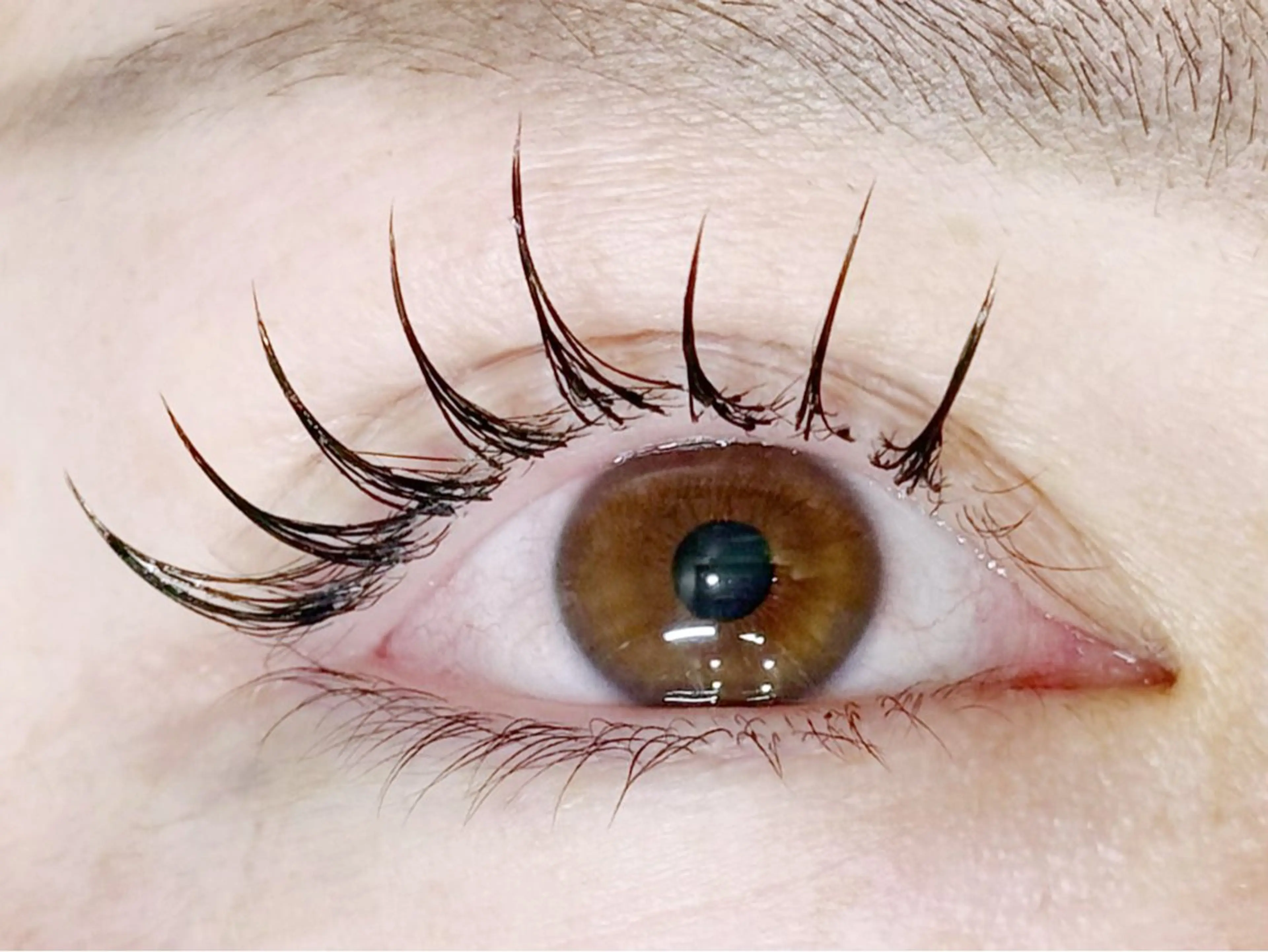 マツエク・マツパ マツエク muk. 金沢八景所属・◝✩ ᖇIᒍYᑌのマツエク・マツパデザイン