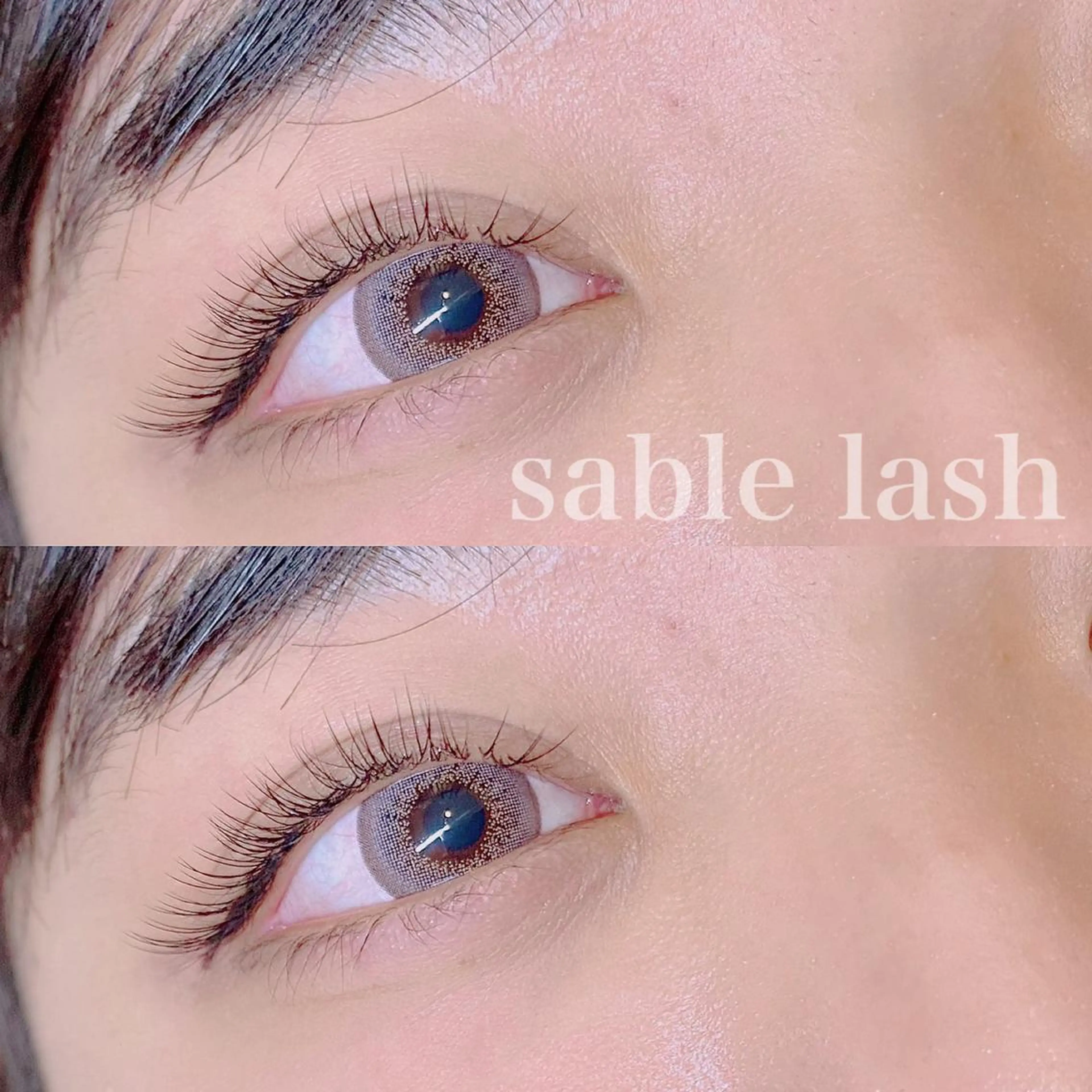 【ミニモ学割🩵】高級セーブル120本■¥6600→¥5000の写真