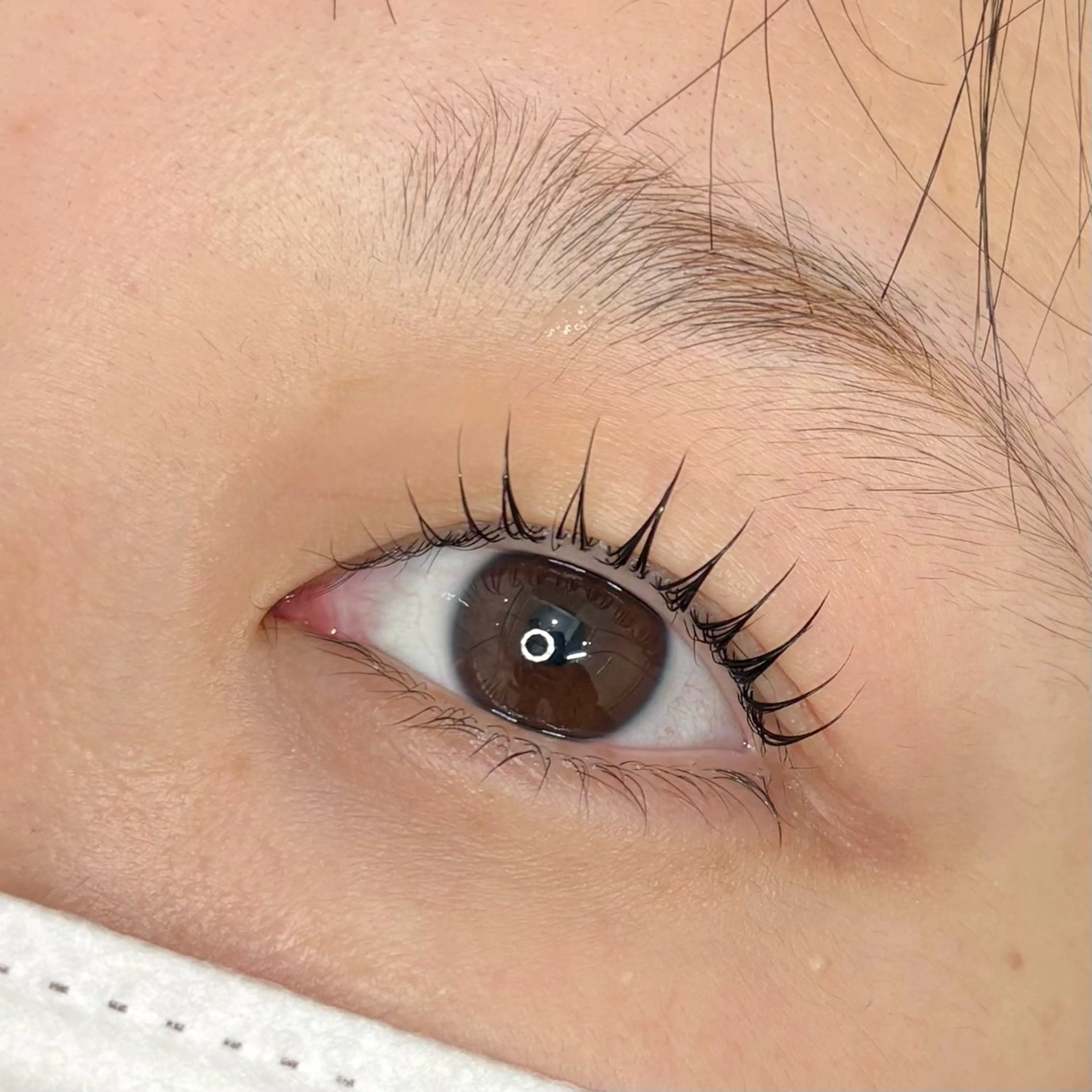 マツエク・マツパ マツパ arts /yamasakiのマツエク・マツパデザイン